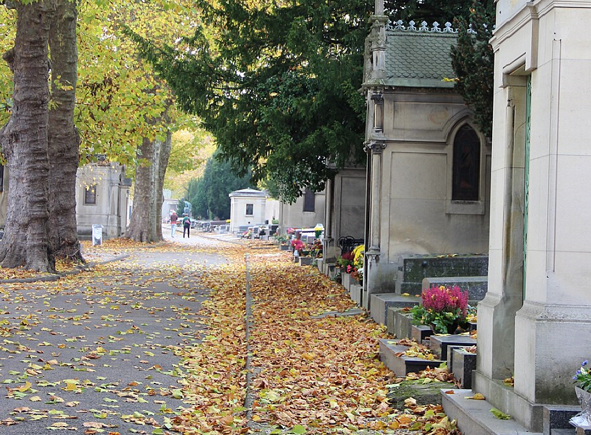 Nancy : Réaménagement vert au cimetière du Sud