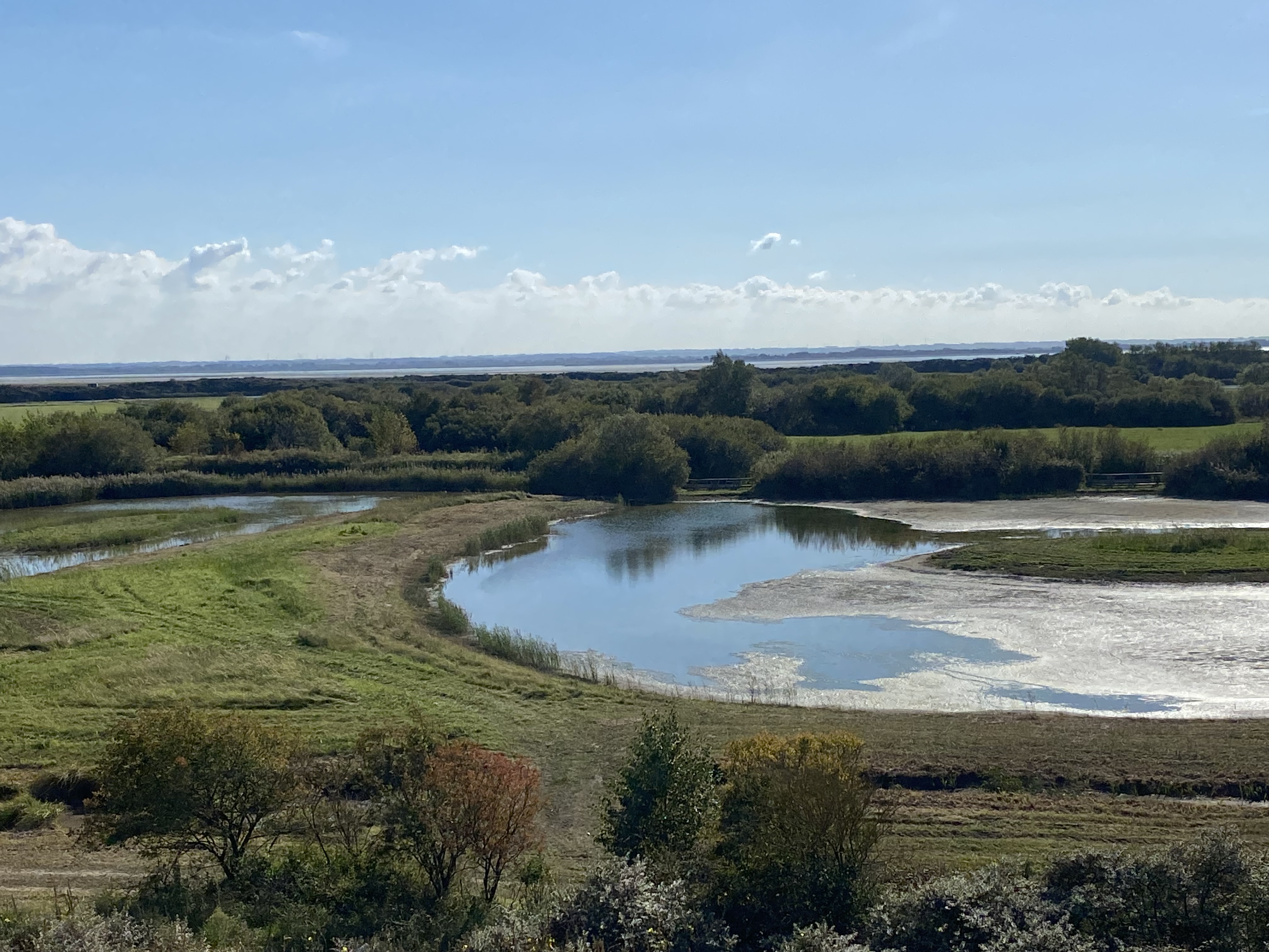 À Saint-Quentin-en-Tourmont, le parc ornithologique du Marquenterre séduit toujours plus