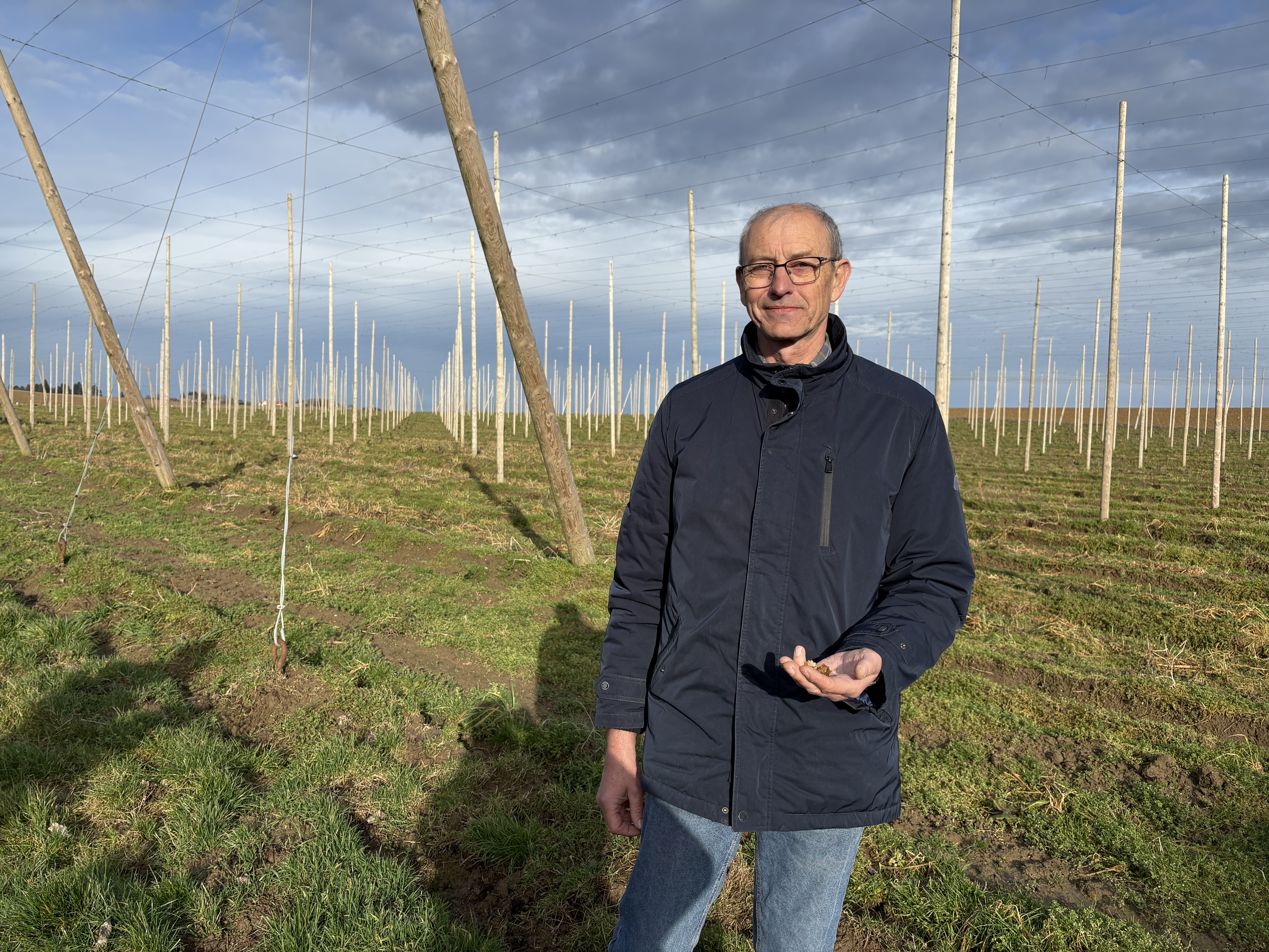 En Thiérache, une ferme cultive du houblon bio