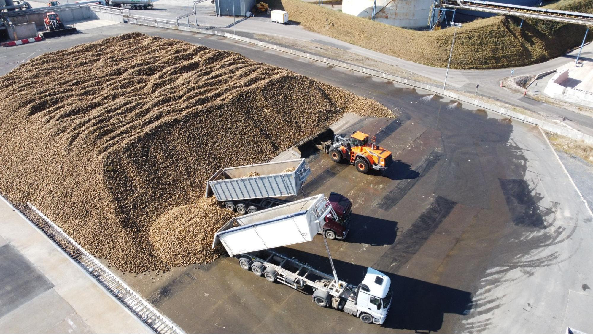 Saint Louis Sucre : une campagne betteravière aux rendements records