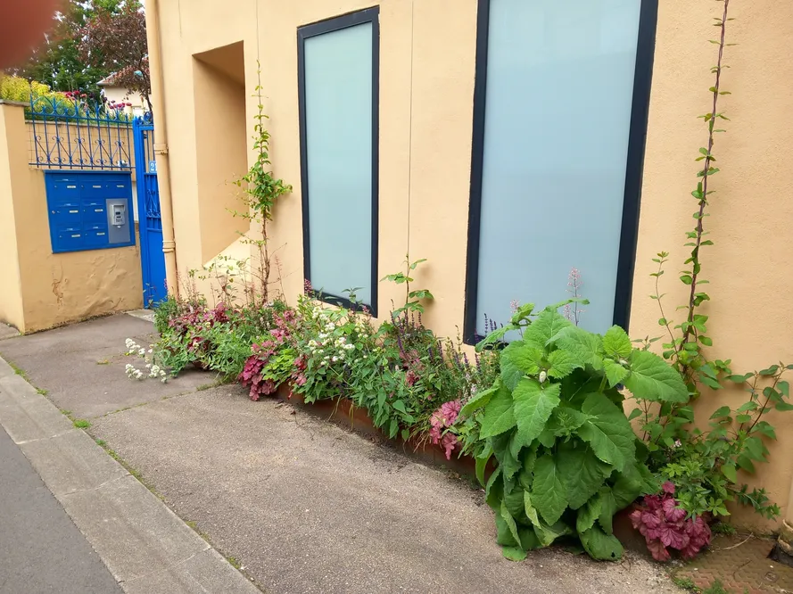 Metz lance « Je fleuris ma rue » pour verdir l'espace urbain