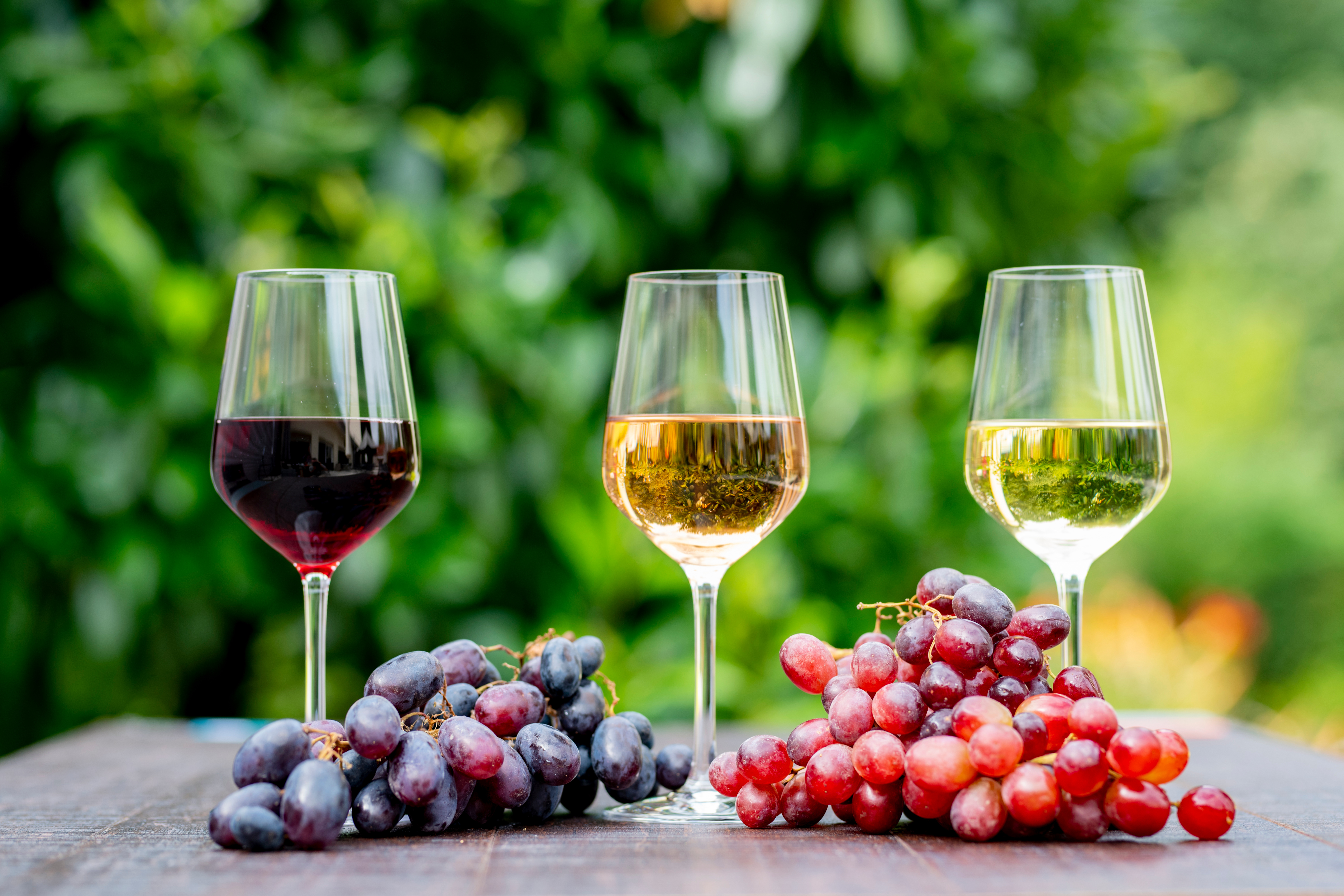 Succès des vins de Saône-et-Loire au Salon de l'agriculture