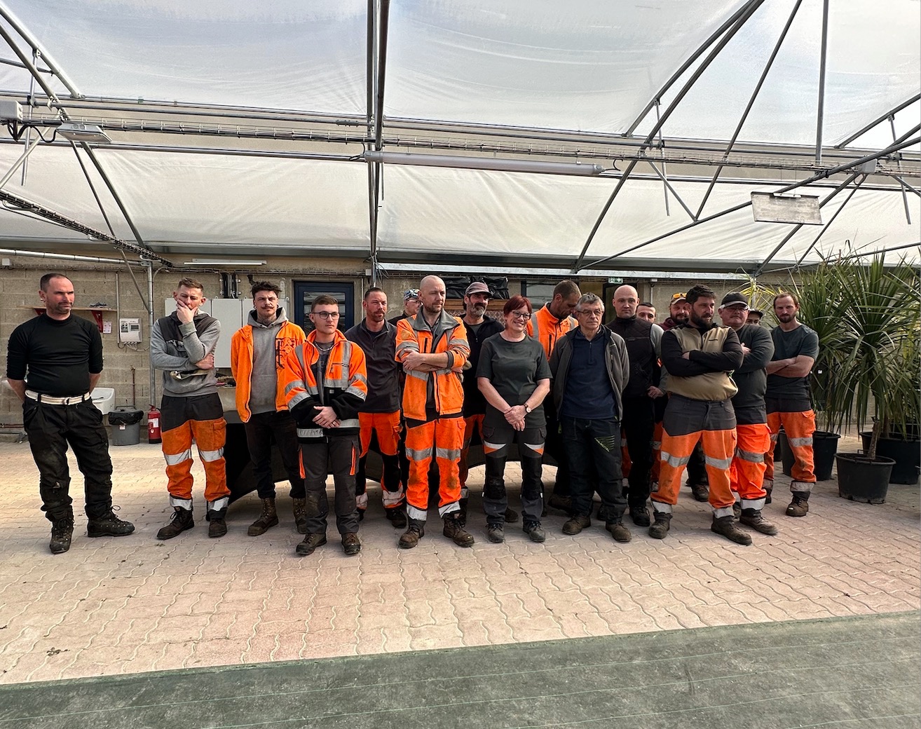 Serres municipales en pleine effervescence