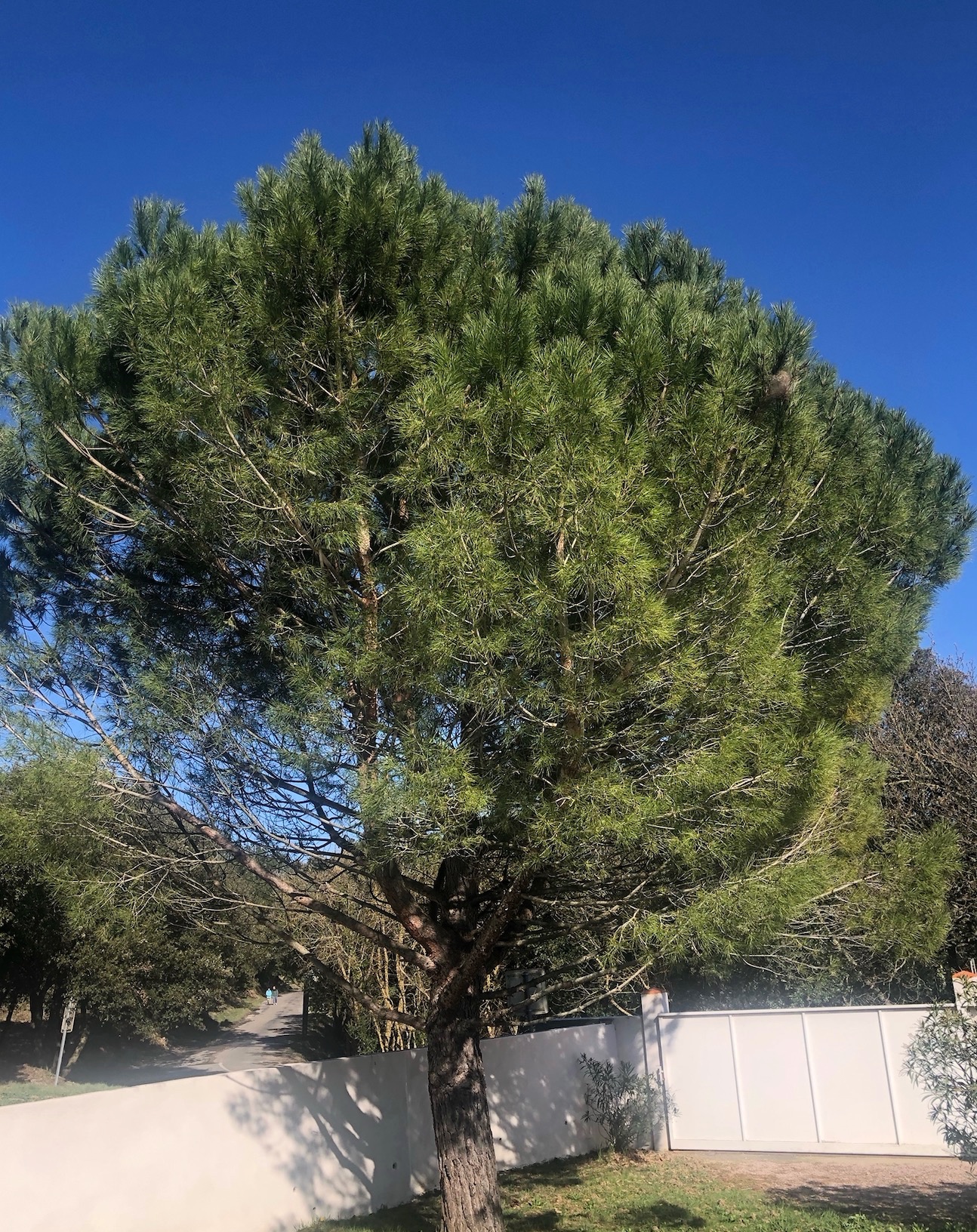 Bar-le-Duc : une formation autour de la santé environnementale