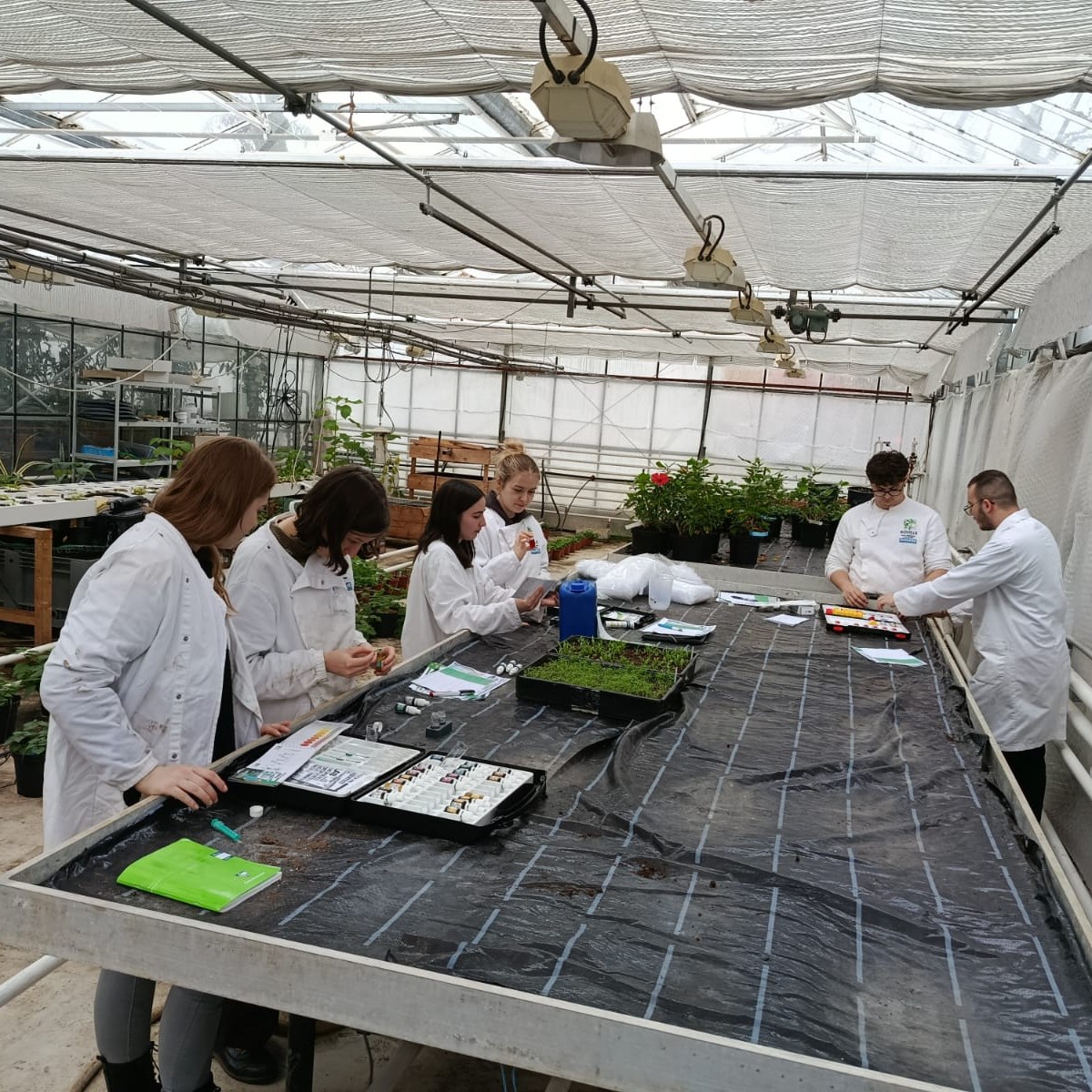 Roville renforce les compétences de la filière