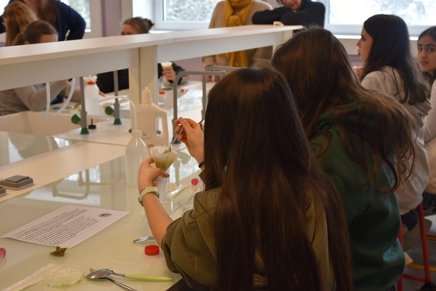 Sciences : l’IUT Nancy-Brabois brise les stéréotypes avec «Technologies au féminin»