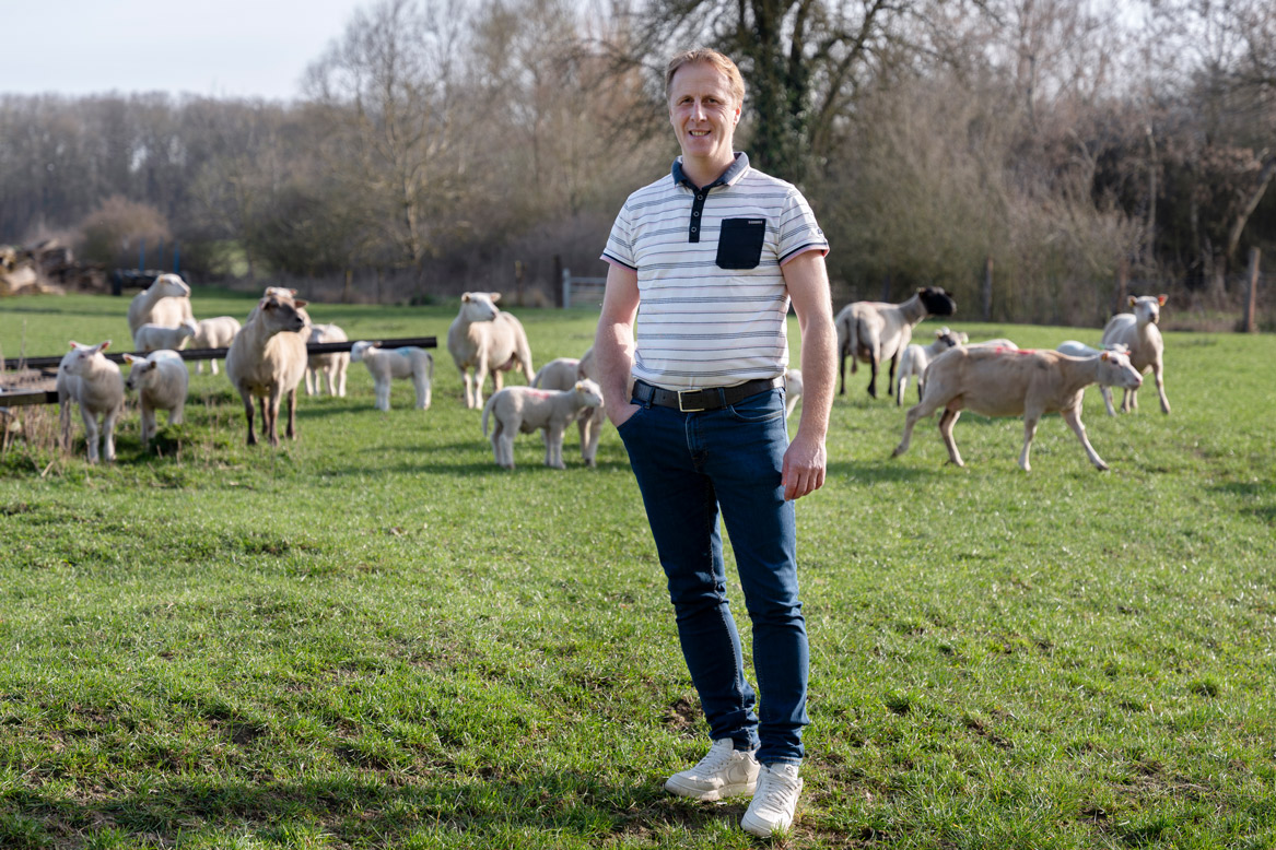 Mos-Laine : un nouveau filon salutaire