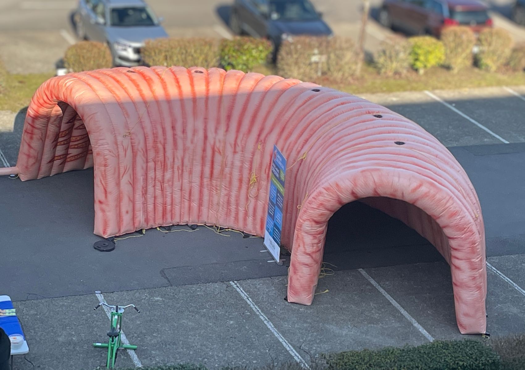 Amiens : un côlon géant pour sensibiliser au cancer colorectal