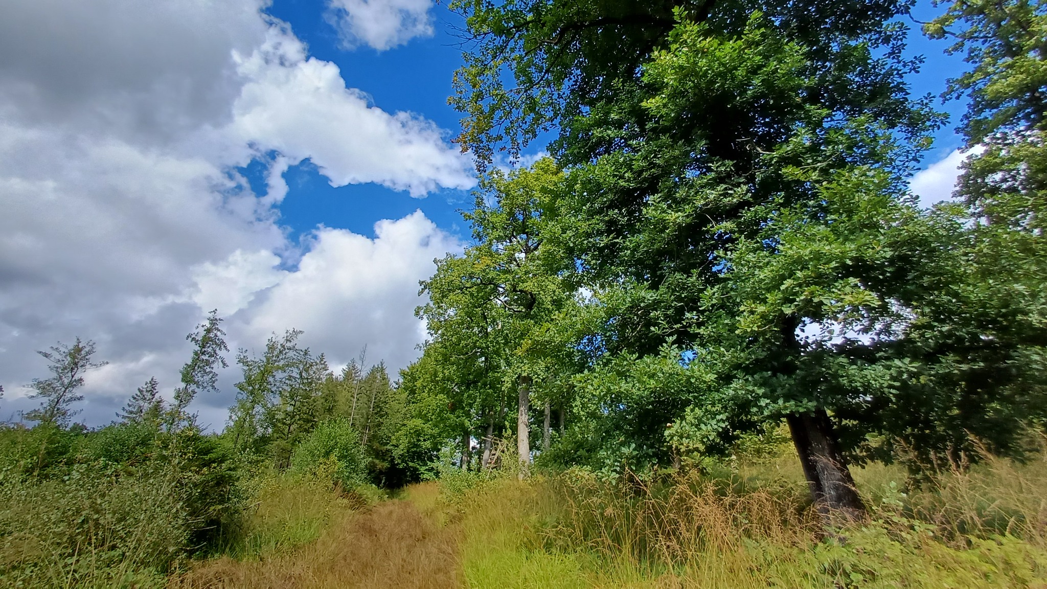 Charmes invite à redécouvrir la nature et ses bienfaits économiques