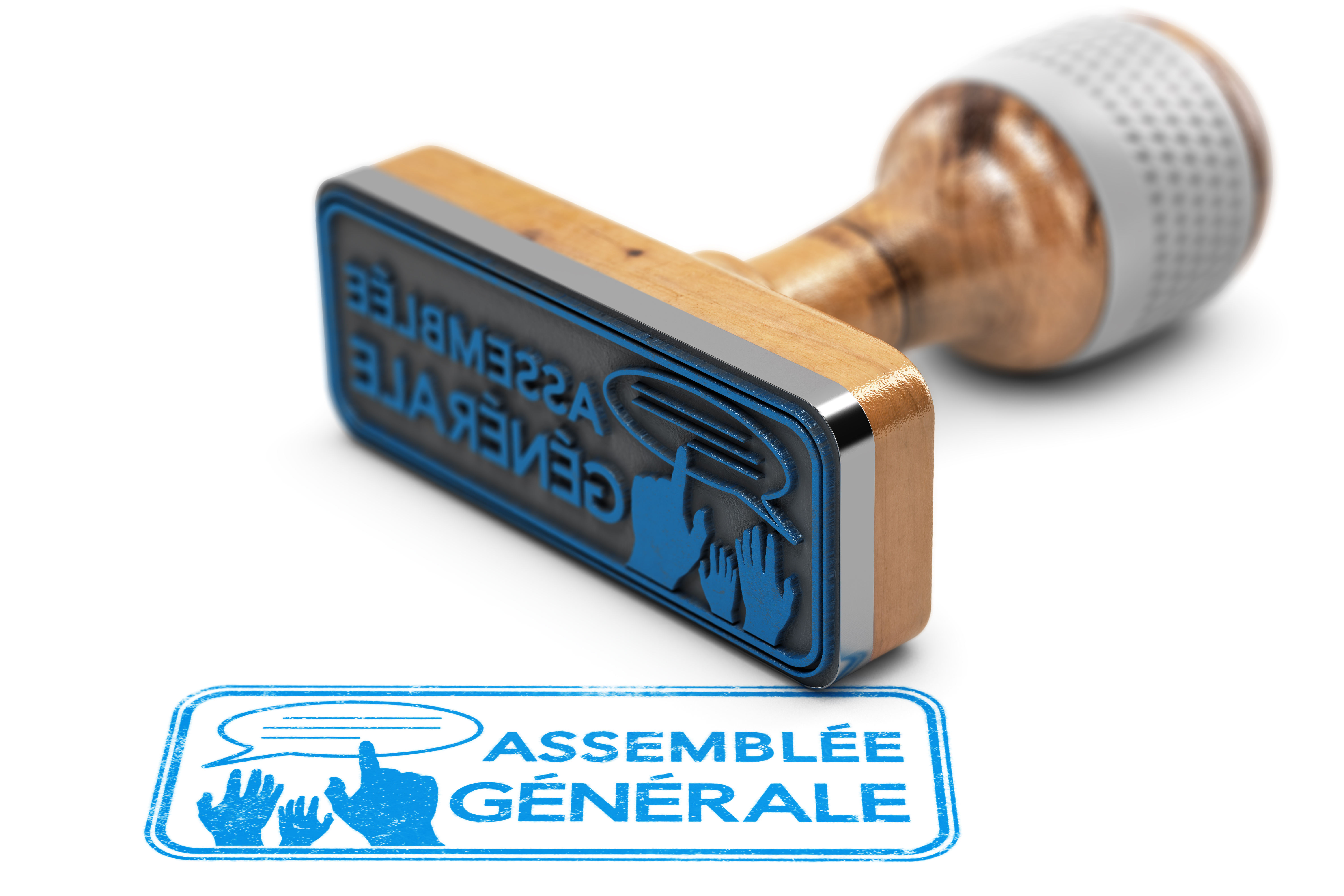 A Talant, l'association Vivre Talant ensemble renouvelle son bureau