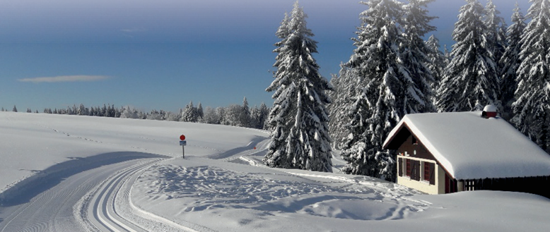 La Bresse : les performances internationales des skieurs valorisent l’économie du sport local