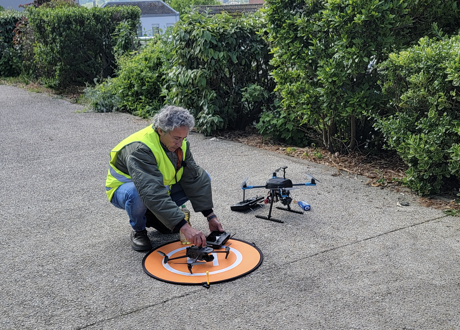 Mers-les-Bains régule les goélands