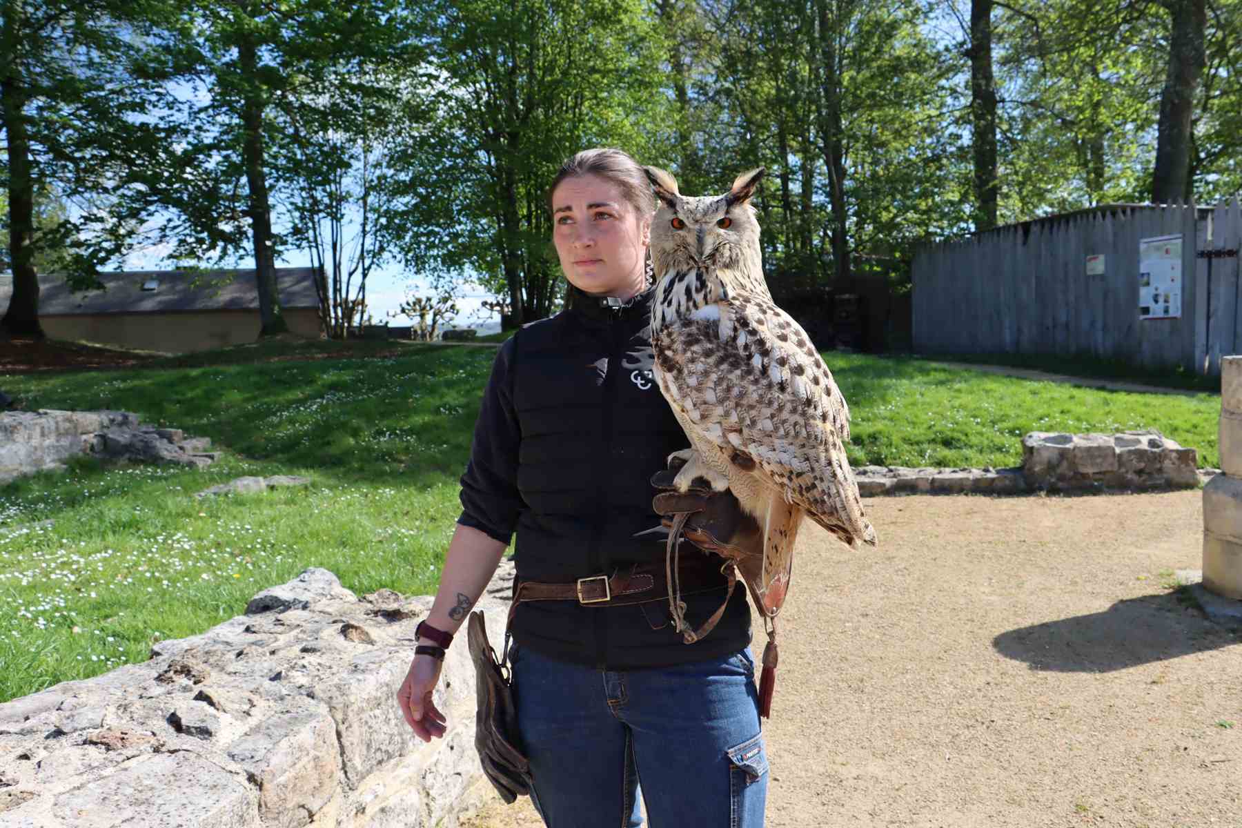 Château-Thierry : de nombreux rendez-vous culturels au château médiéval