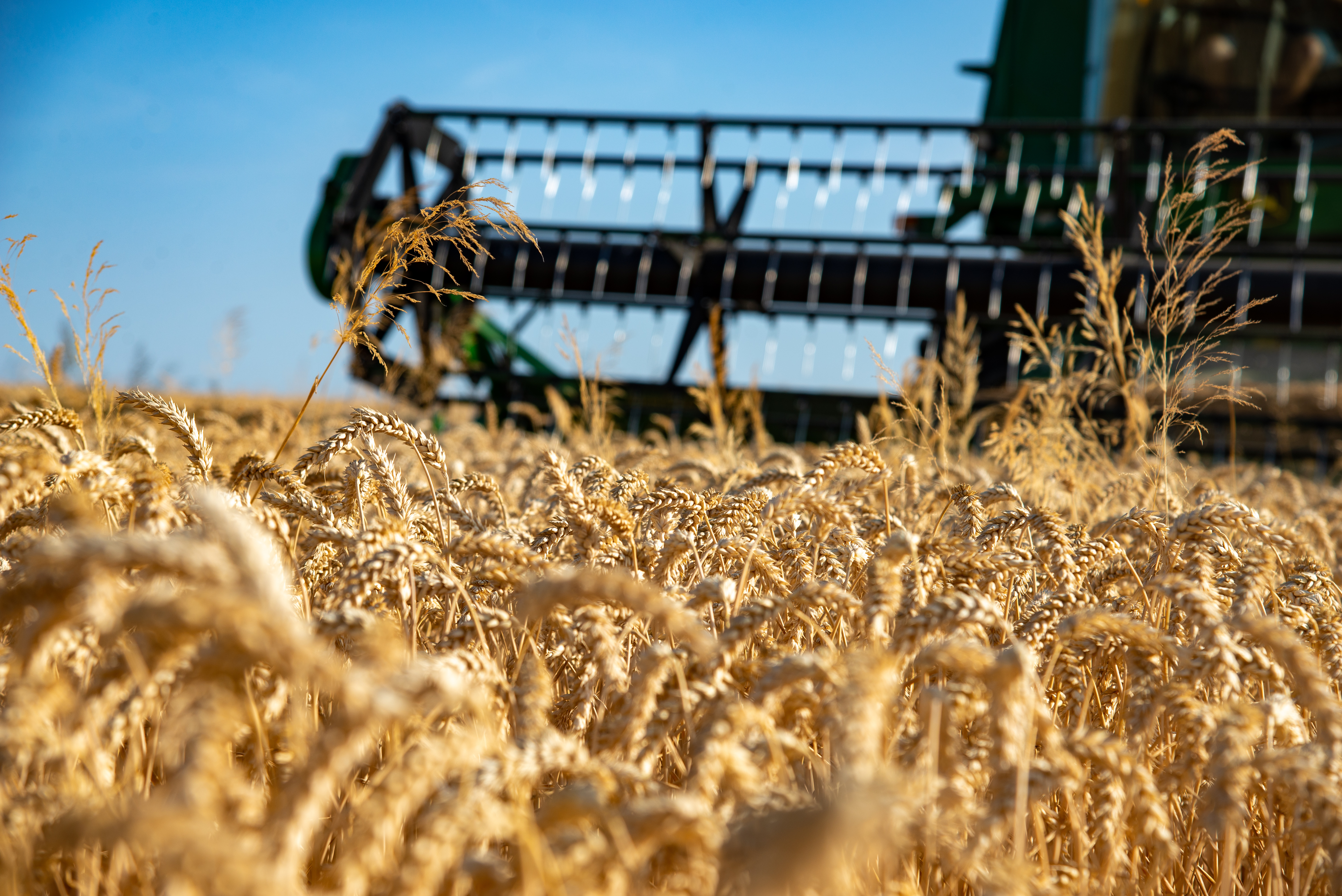 Hauts-de-France, une terre exportatrice