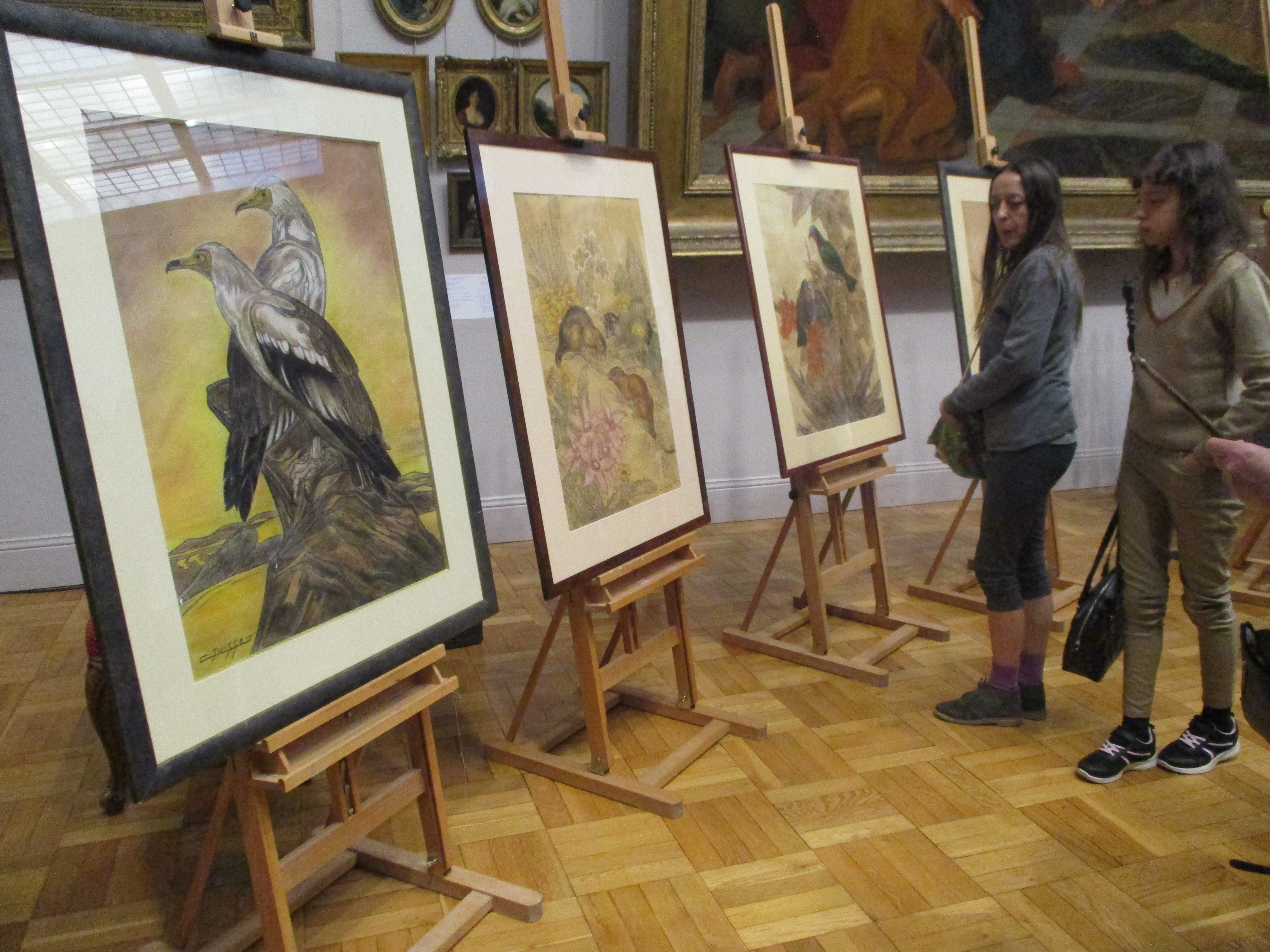 Saint-Quentin : L’art du pastel animalier intègre le musée Antoine-Lecuyer