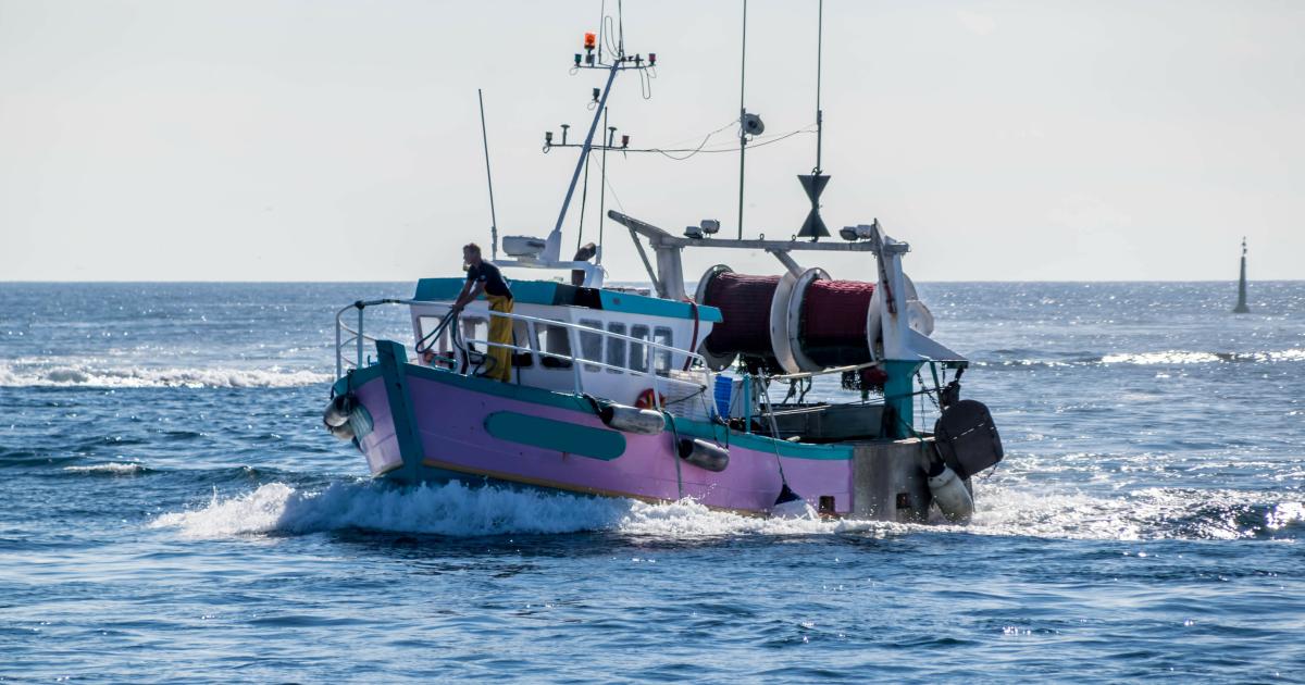 Coût de l'énergie : l'Urssaf et le CPSTI au soutien des professionnels