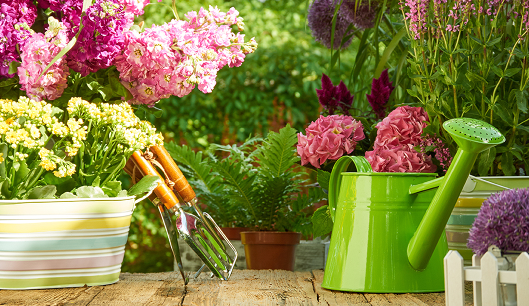 Albert lance son concours des jardins et habitats fleuris 2026