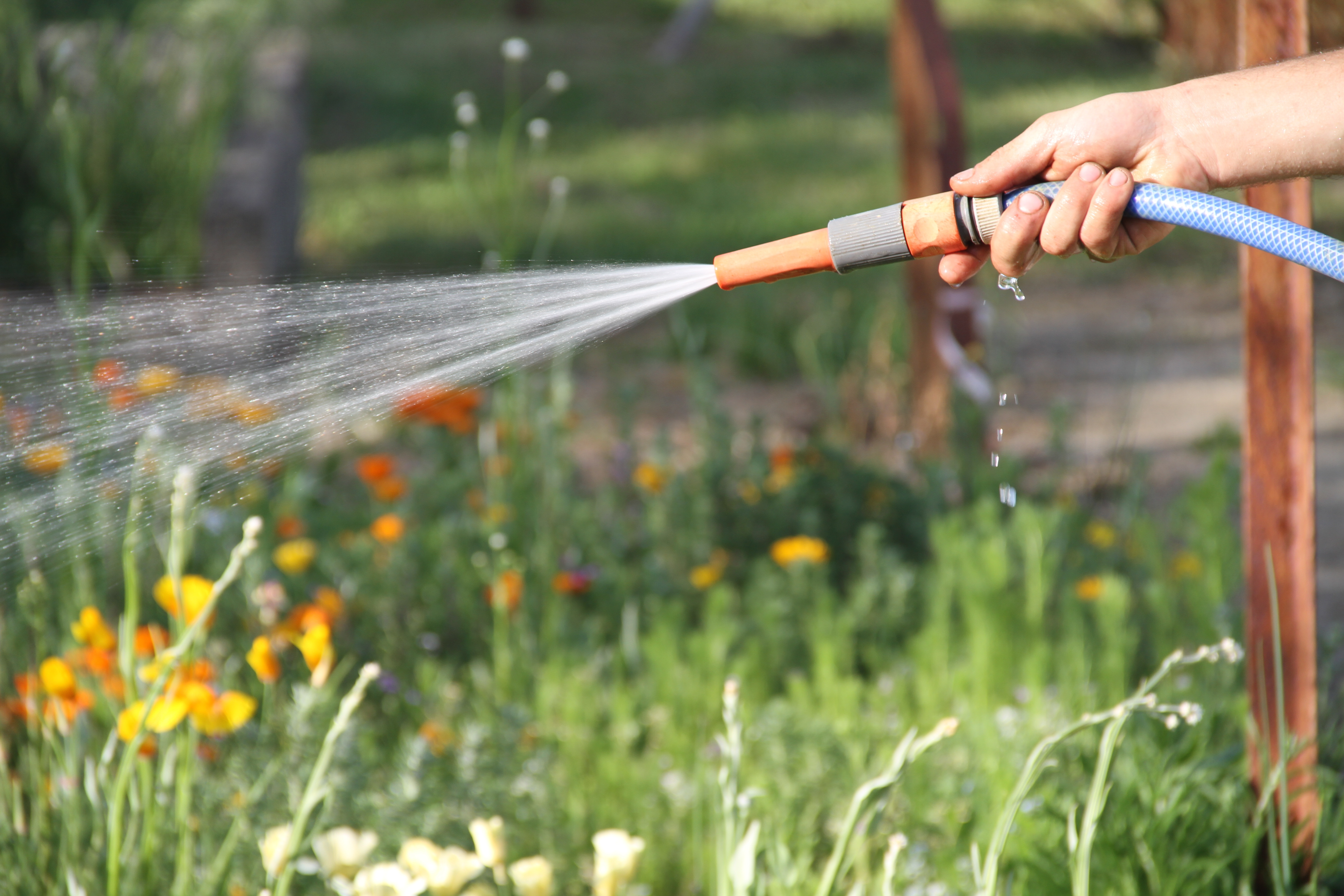 L’Eurométropole de Metz soutient l’achat de récupérateurs d’eau de pluie