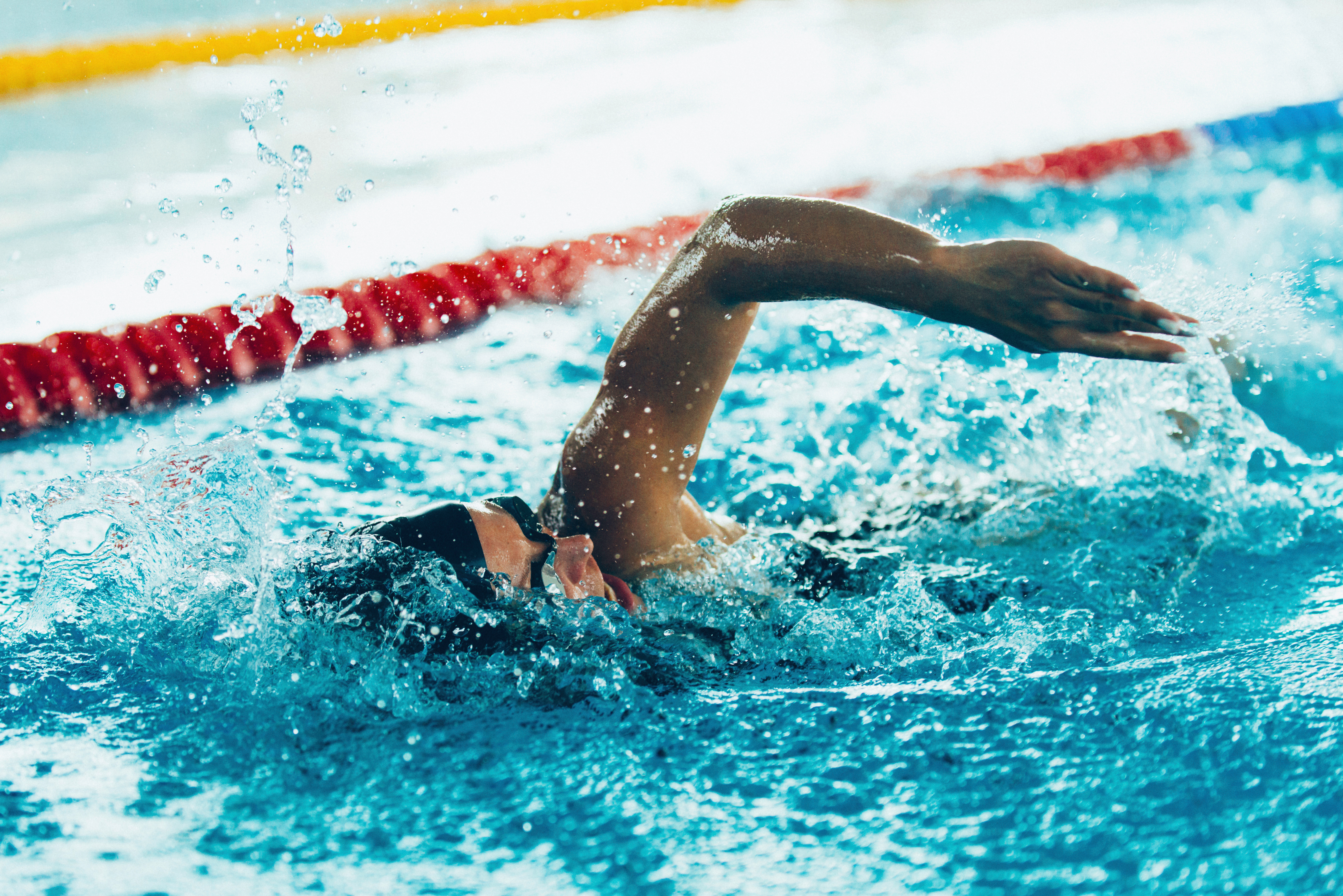Bar-le-Duc : les Olympiades de l’Emploi rapprochent jeunes, recruteurs et organismes de formation