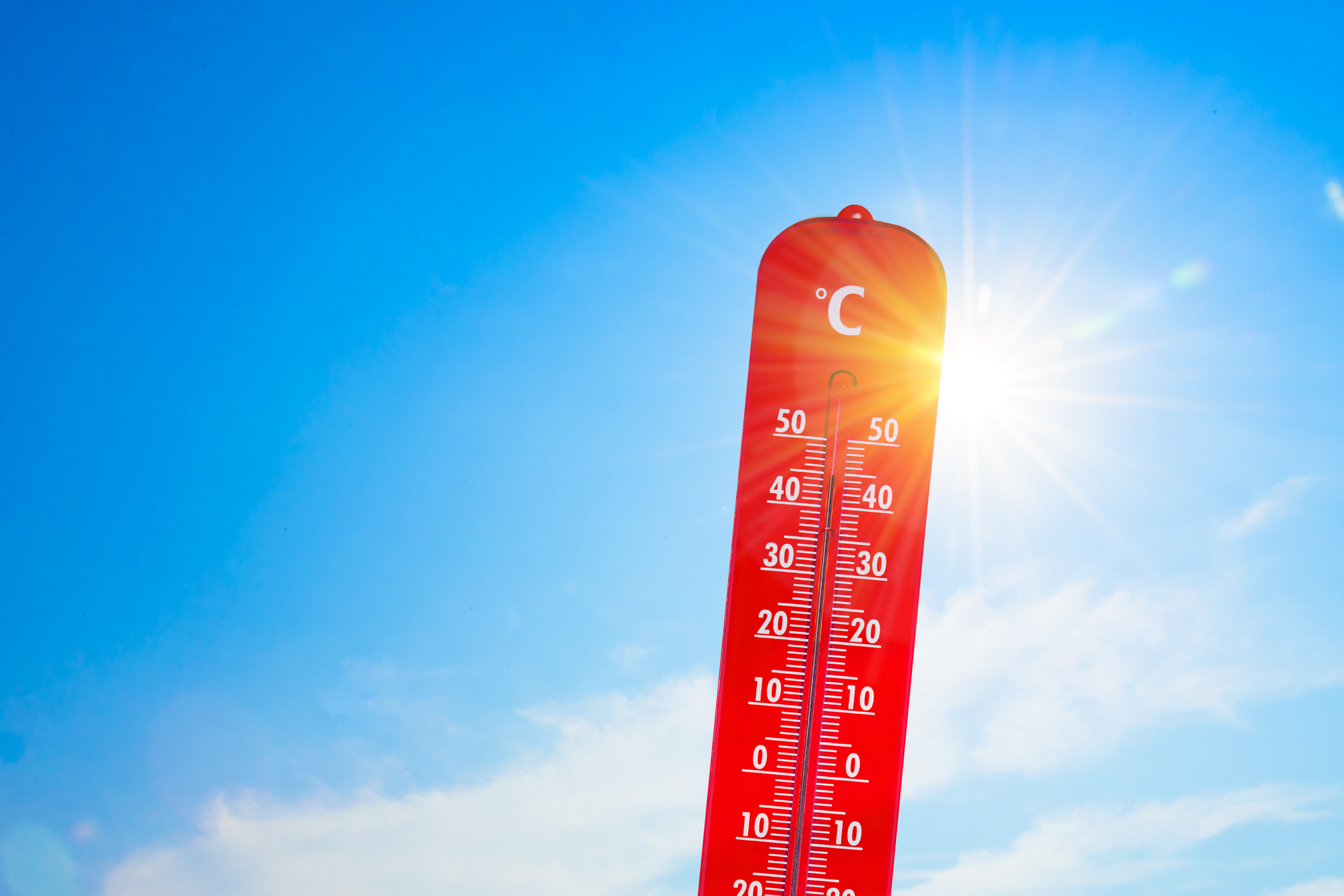 Canicule : Beauvais suspend les activités sportives collectives