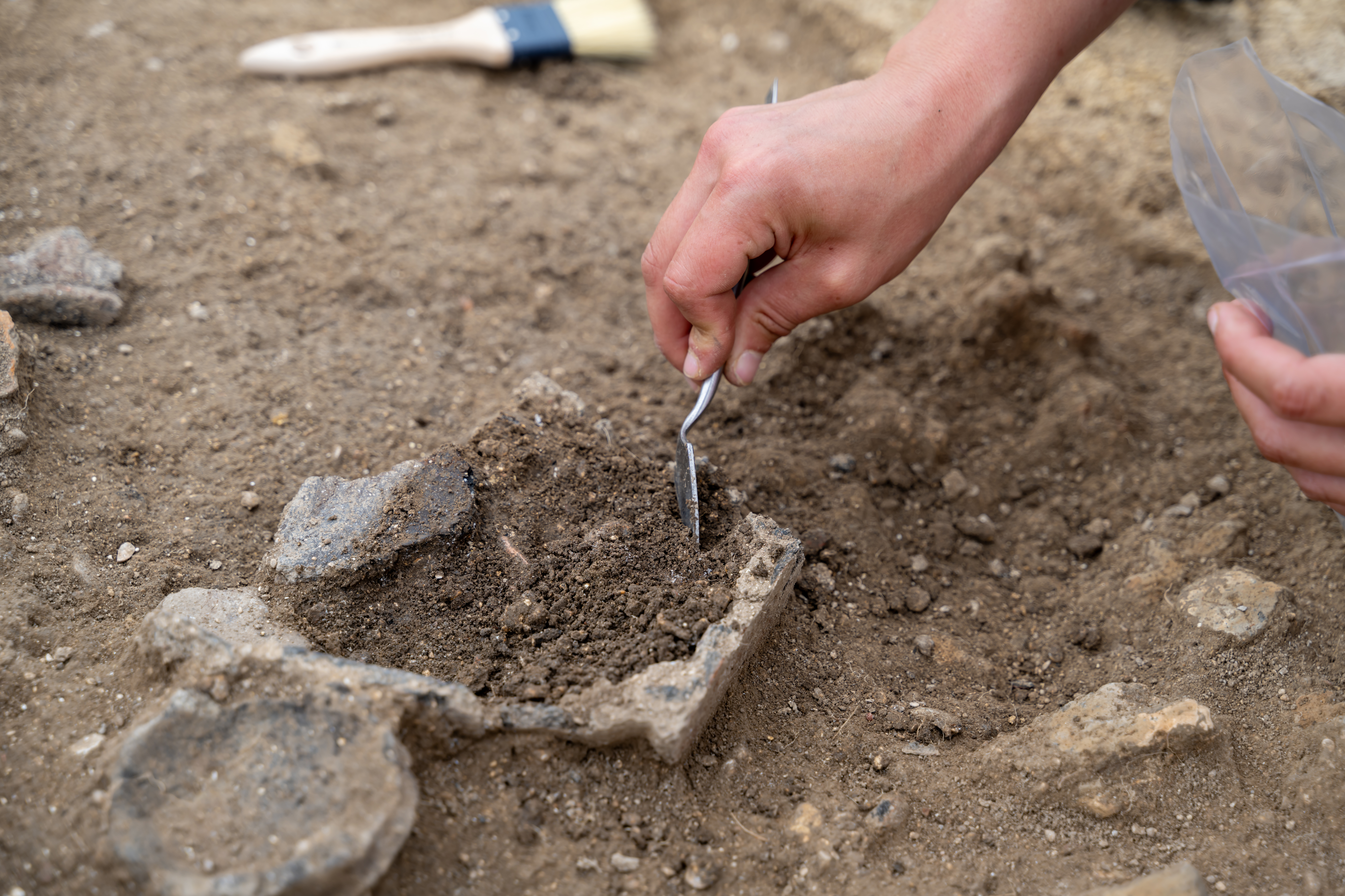 Bibracte met la couleur et la science gauloise à l’honneur pour les Journées de l’archéologie