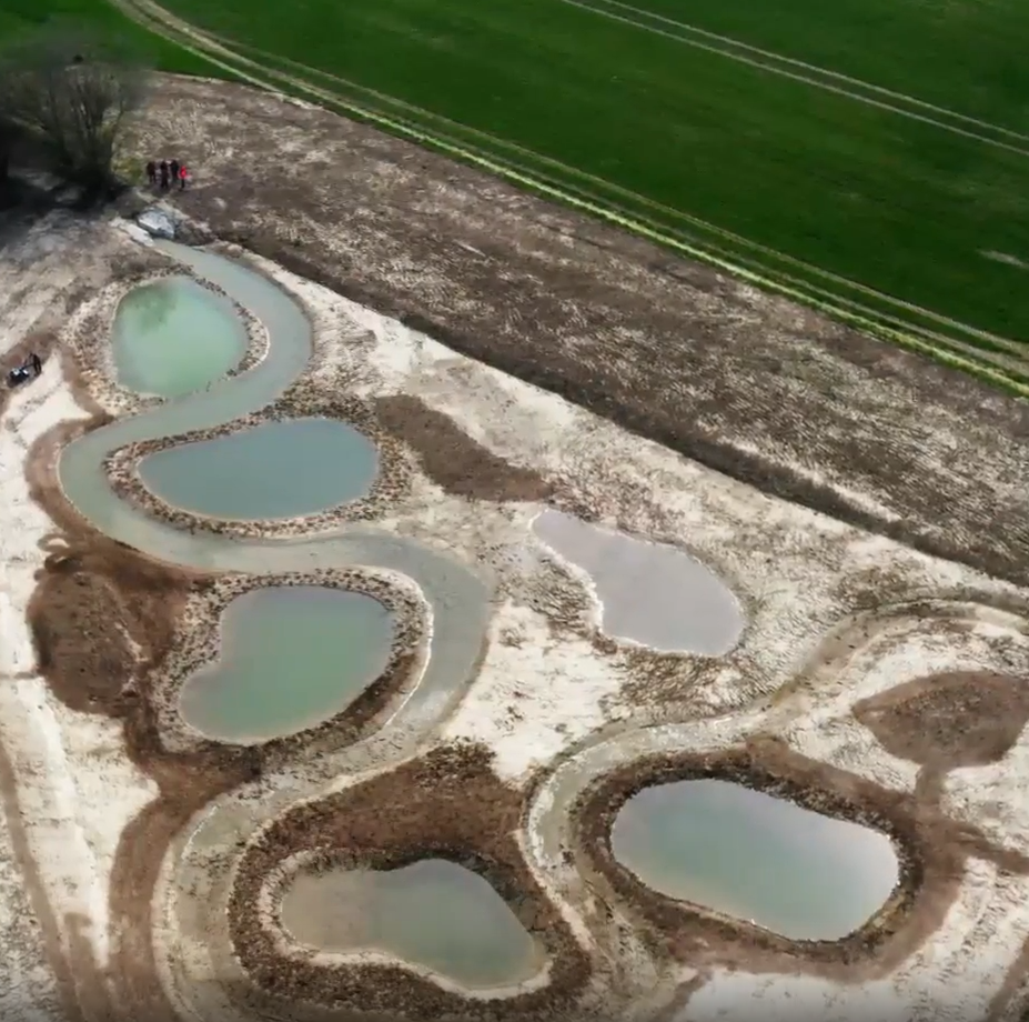 Oise : des mares écologiques au cœur du Canal Seine-Nord Europe