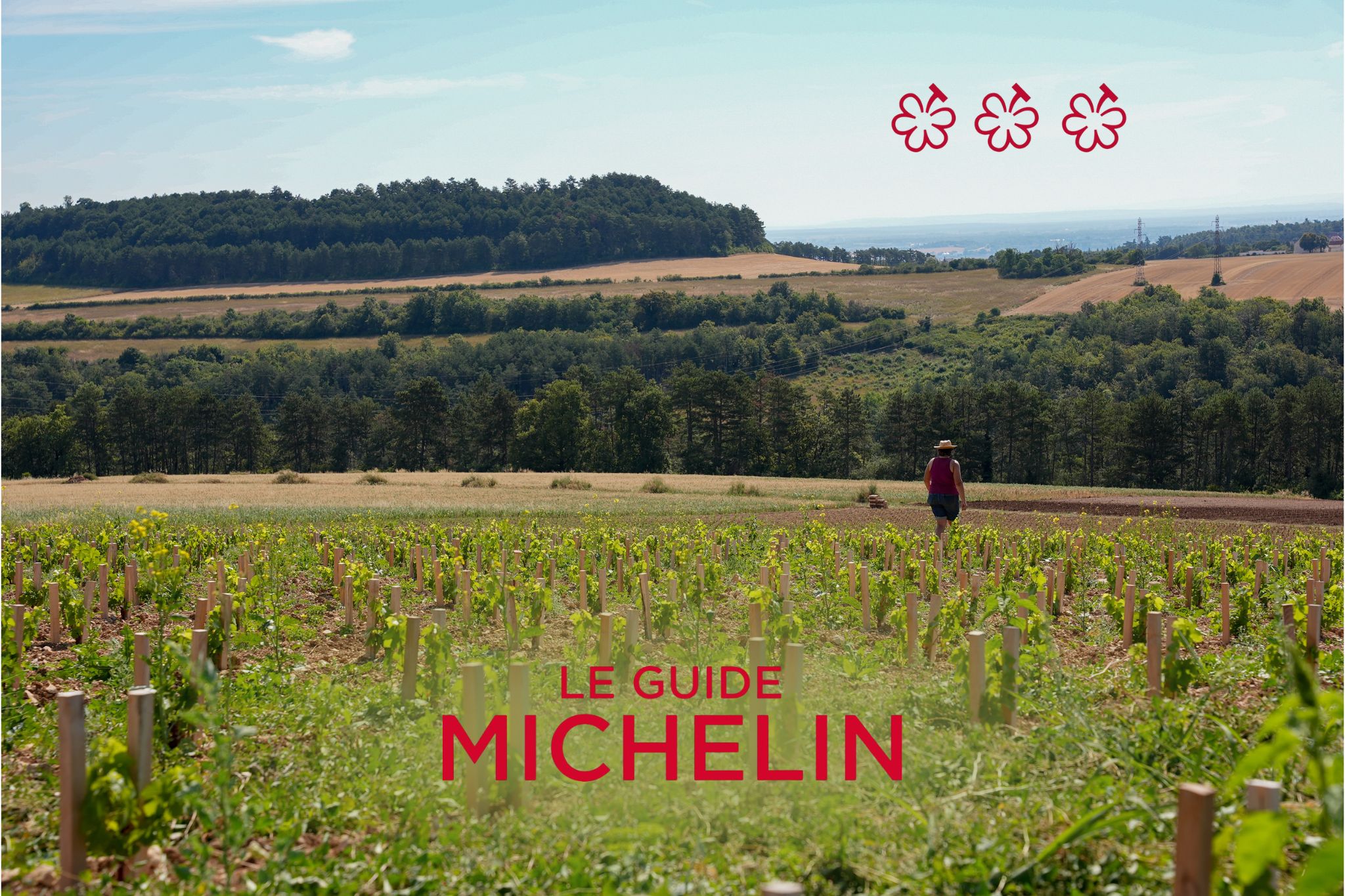 Dijon accueille la première présentation mondiale des « grappes » du Guide MICHELIN