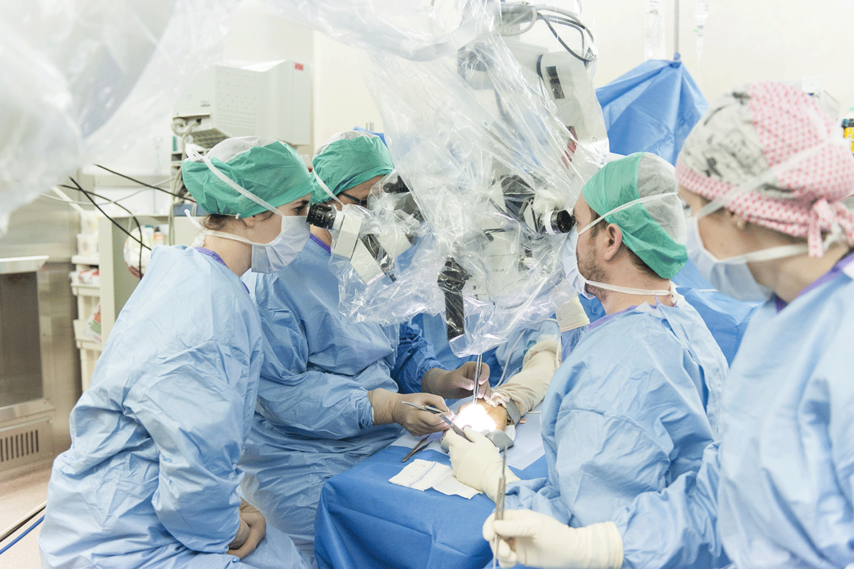 Rouen réunit les experts français de la chirurgie de la main