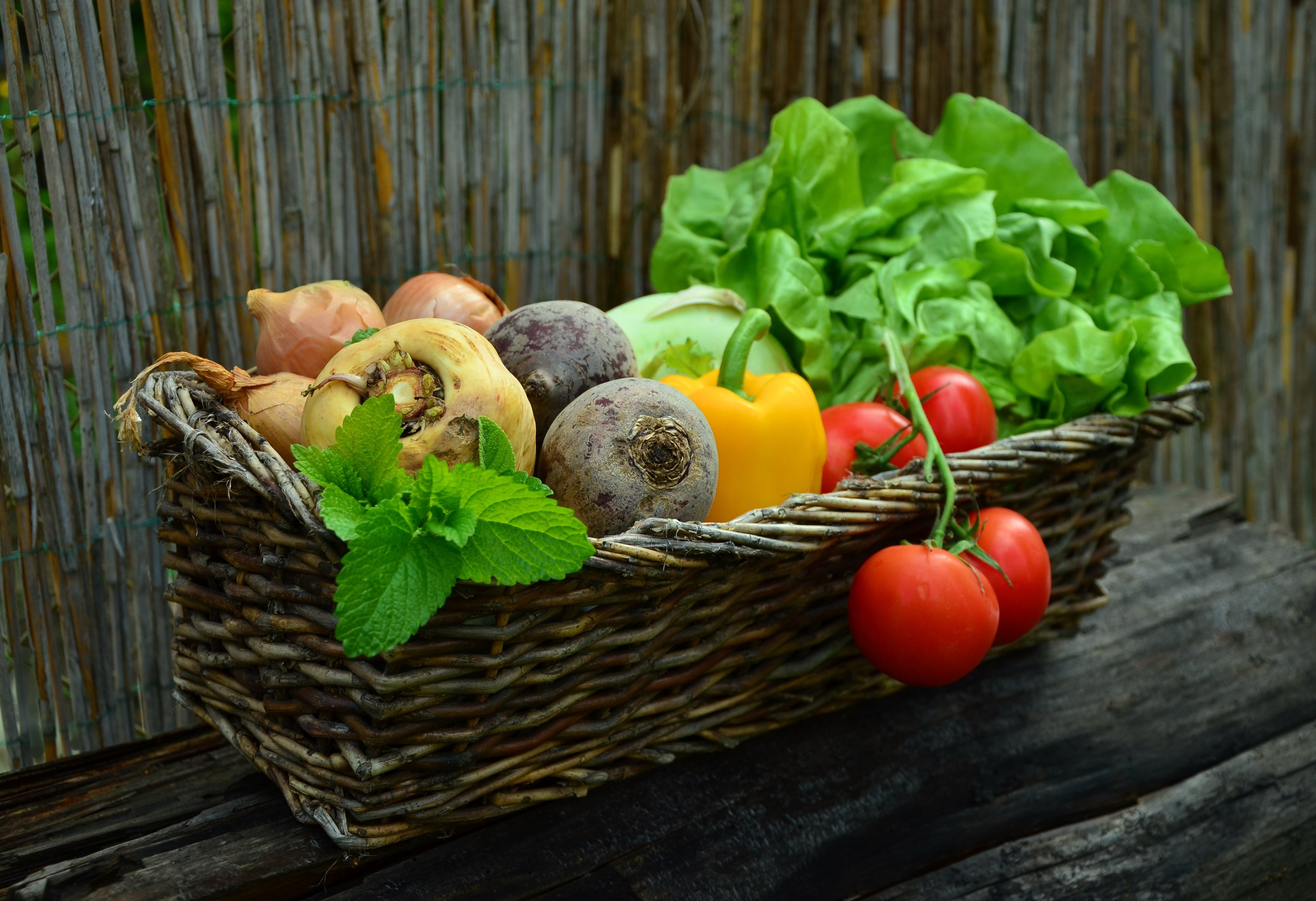 Hauts-de-France : un marché bio en progression malgré la diminution des fermes en région