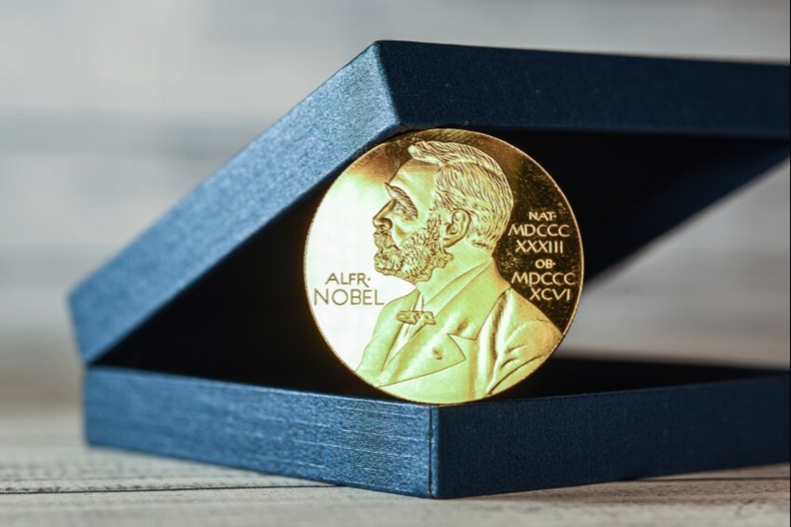75es Rencontres Nobel de Lindau : une chercheuse lorraine au cœur de l'élite scientifique mondiale
