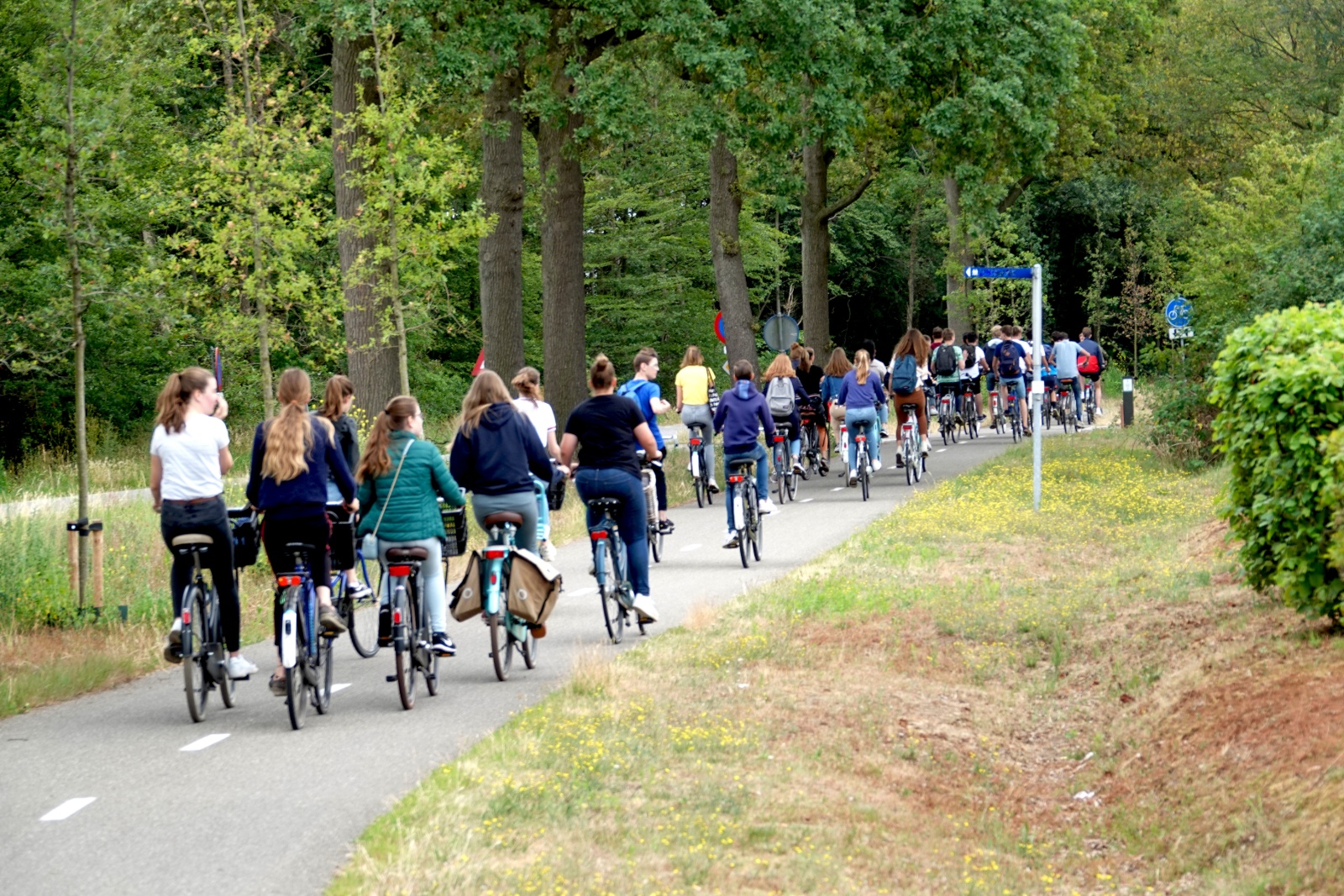 Compiègne muscle son offre et décroche le label "Accueil Vélo"