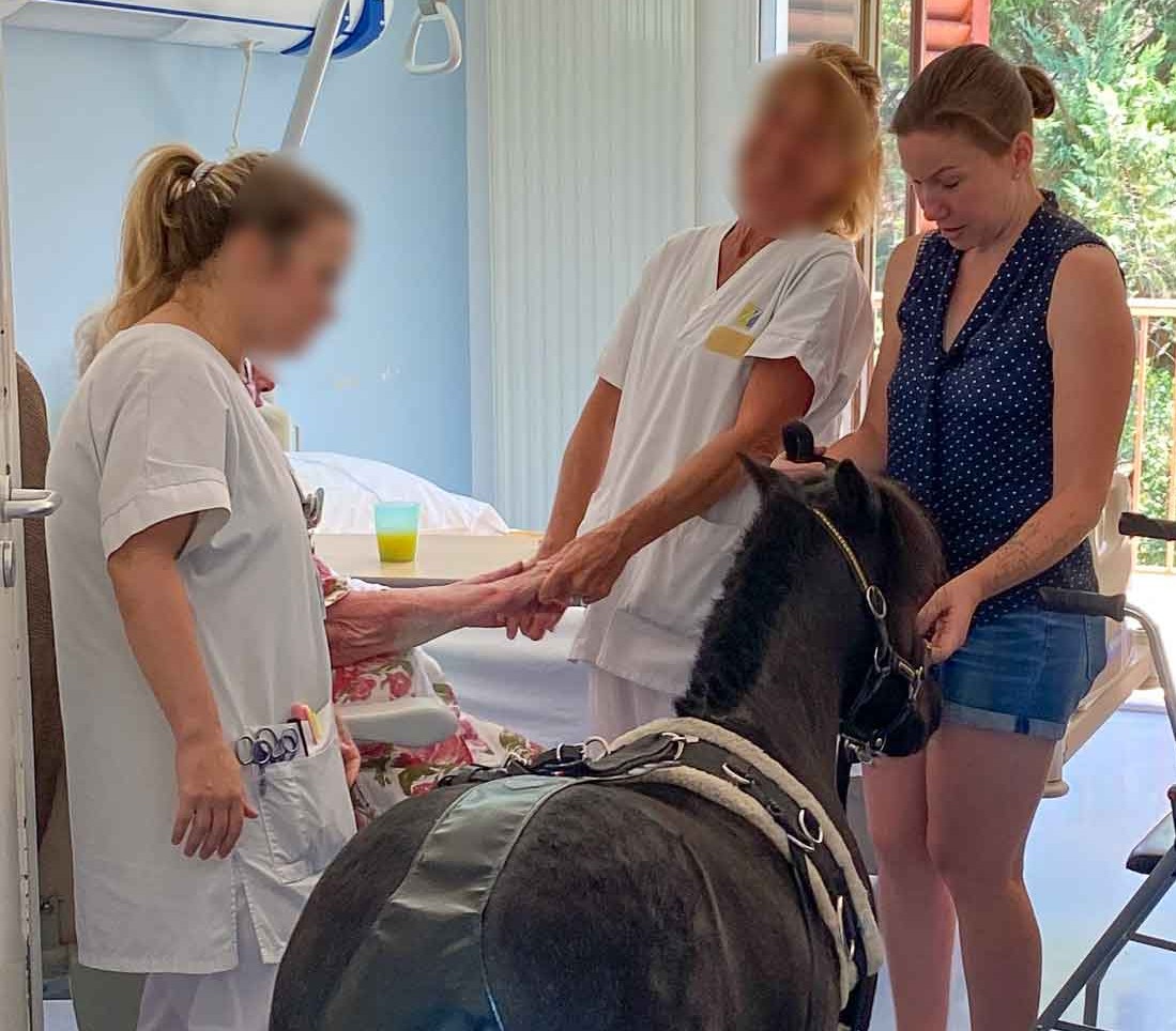 Médiation animale à Château-Thierry : Kirikou est devenu la mascotte de l’EHPAD Bellevue