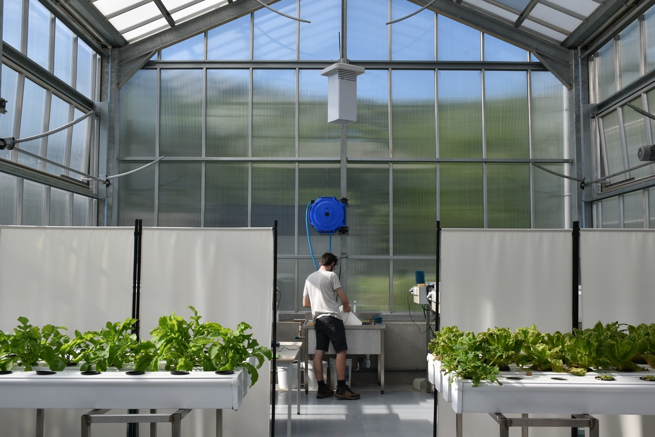 Fermalim’, une serre connectée à l’IUT Nancy-Brabois