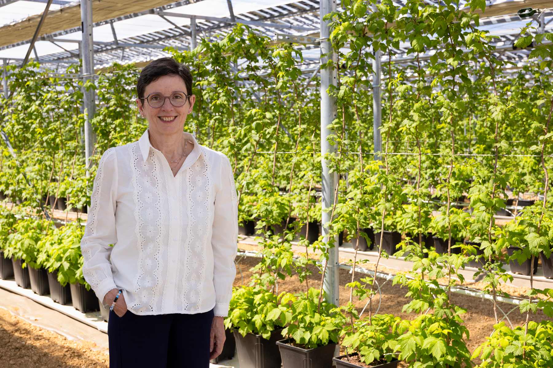 Fruits Rouges & co inaugure son campus dédié à l'innovation