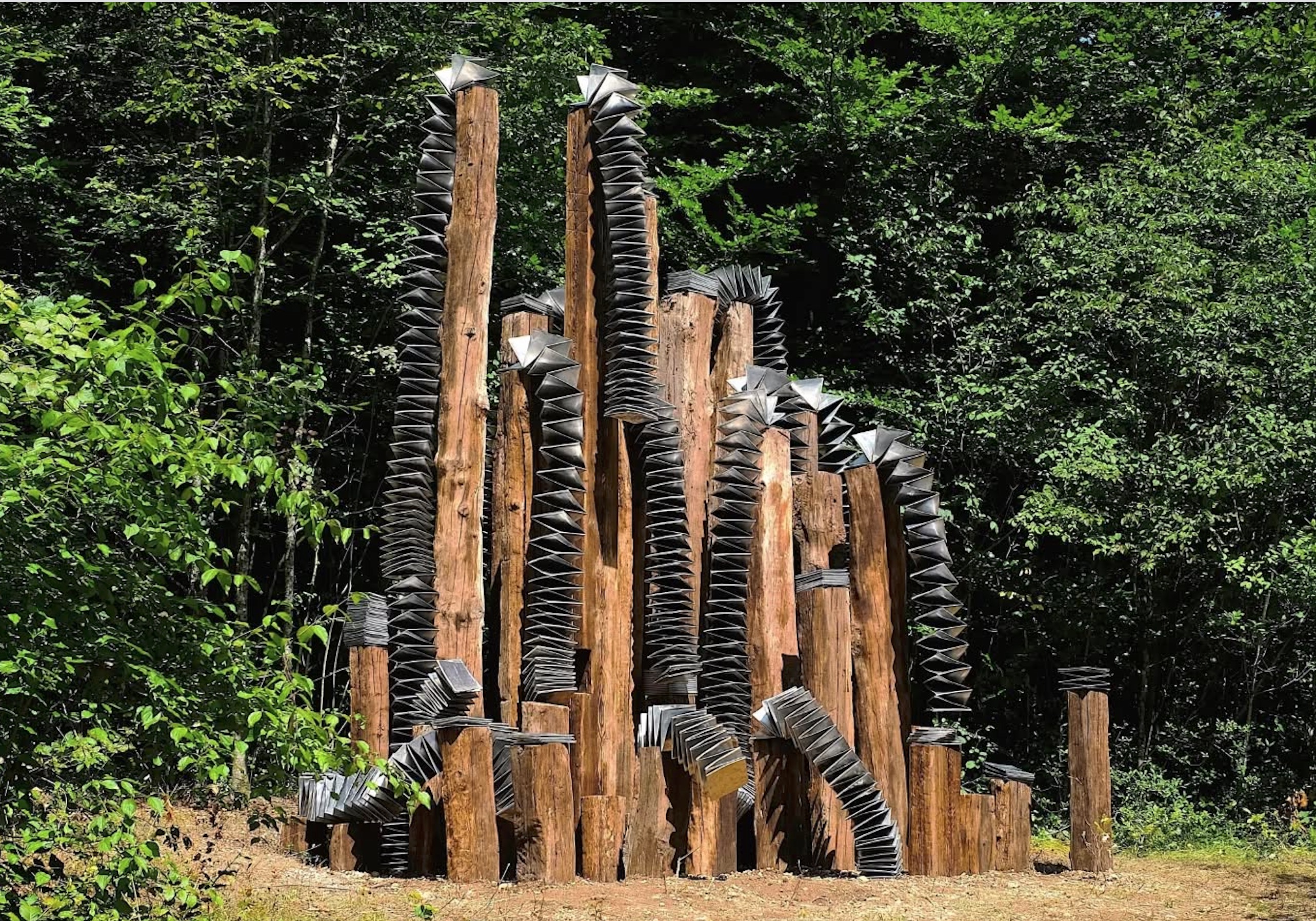 Les nouvelles œuvres du Vent des Forêts dévoilées et exposées