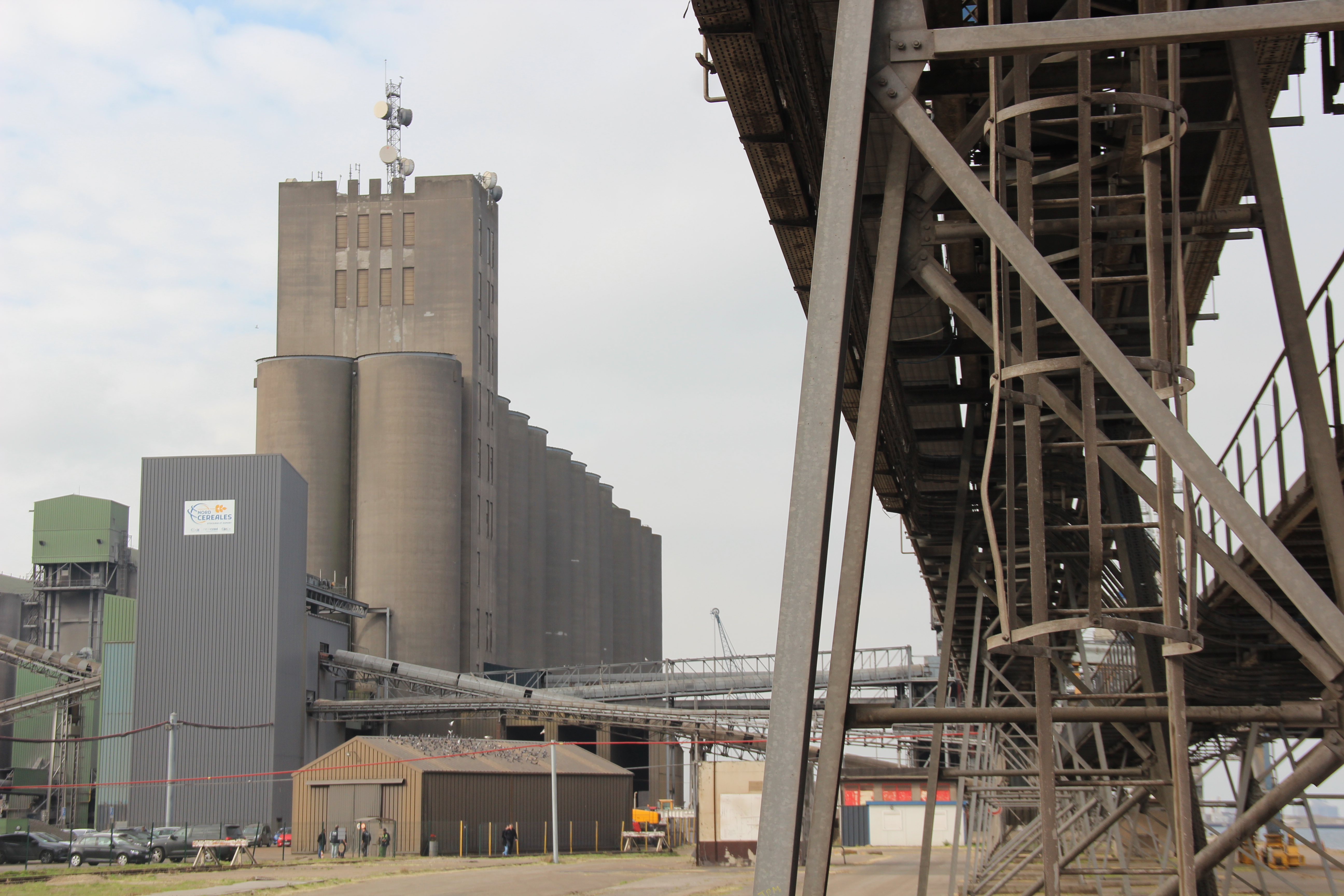 Dunkerque : Nord Céréales a 40 ans et montre plus que jamais les dents