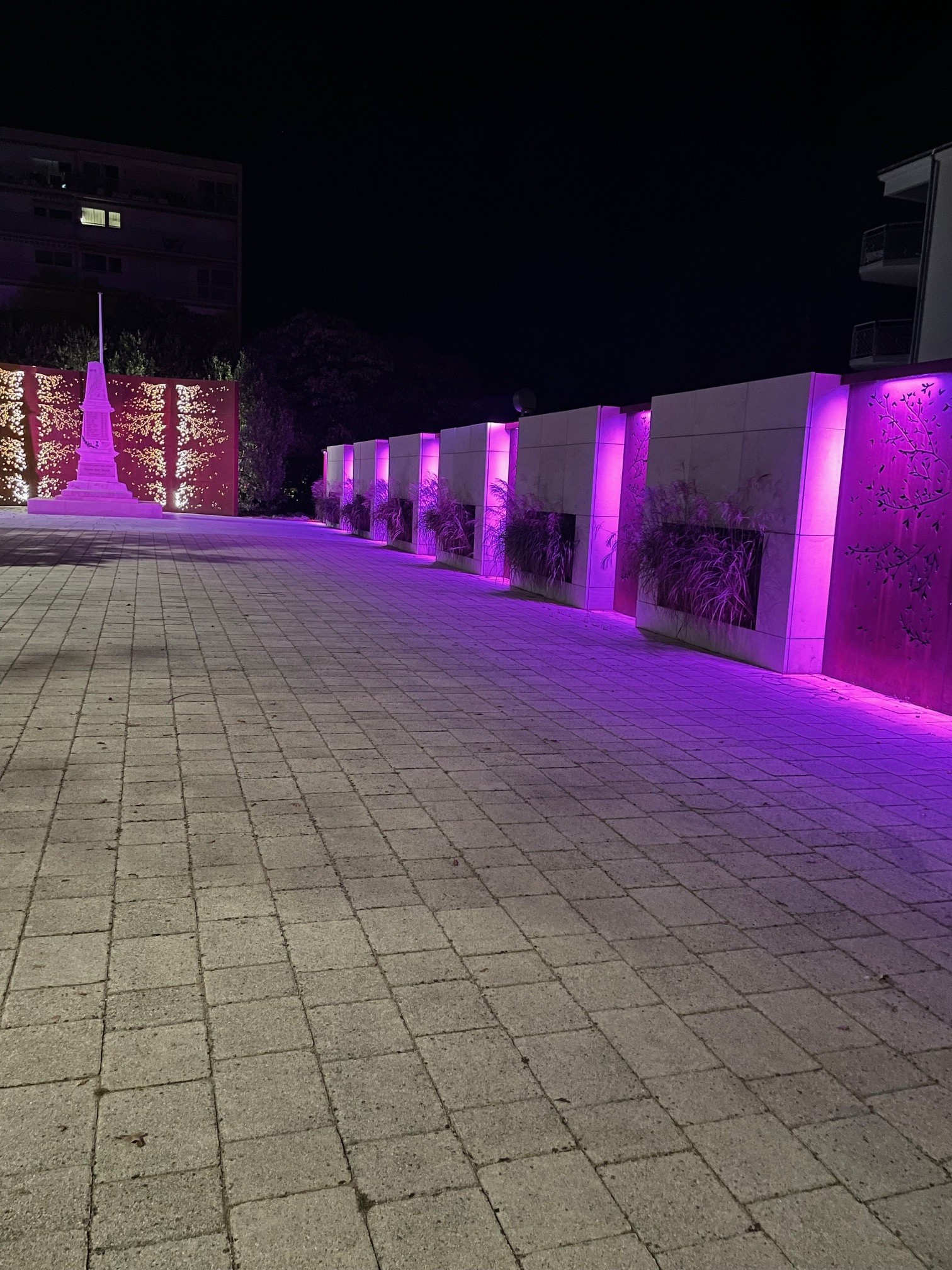 Octobre Rose : Chevigny-Saint-Sauveur s'engage