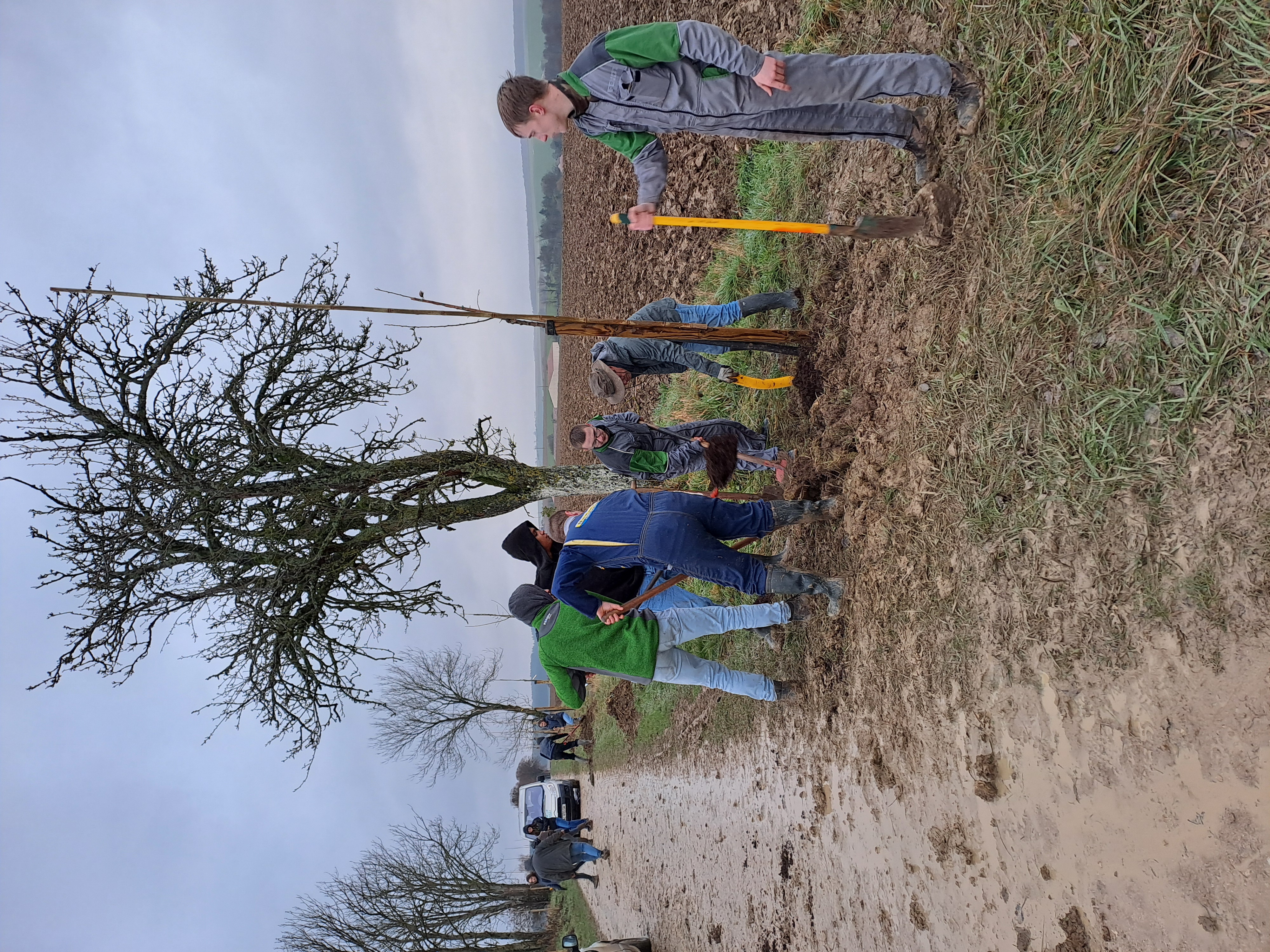 Le département de la Meuse en avance sur son «Plan arbres»