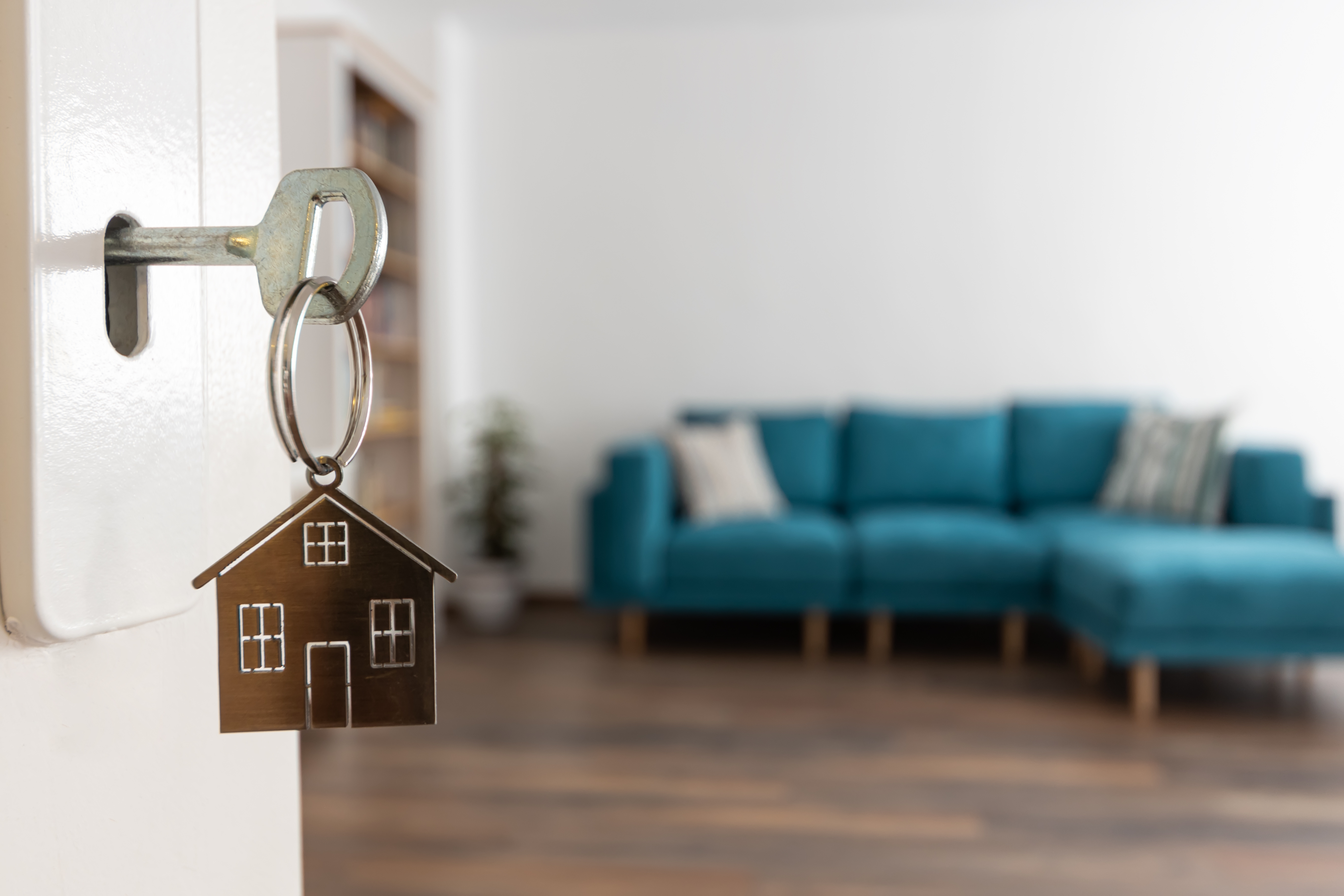 Épinal : exposition et conférences pour repenser l’habitat et adopter un mode de vie durable