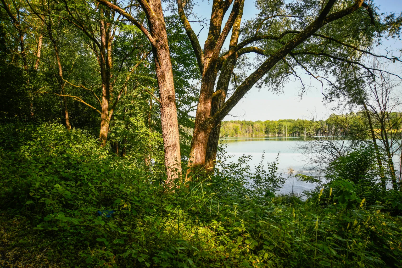 CUCM : un projet structurant pour optimiser la gestion des eaux usées