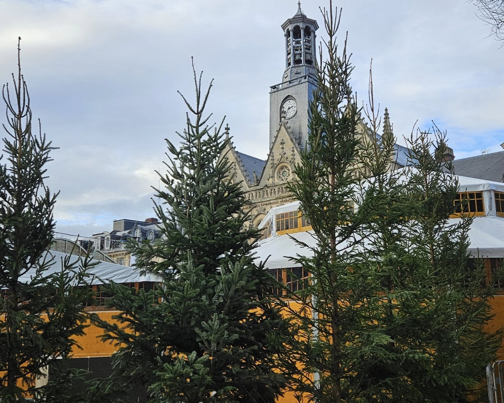 La ville de Saint-Quentin lance une collecte de sapins