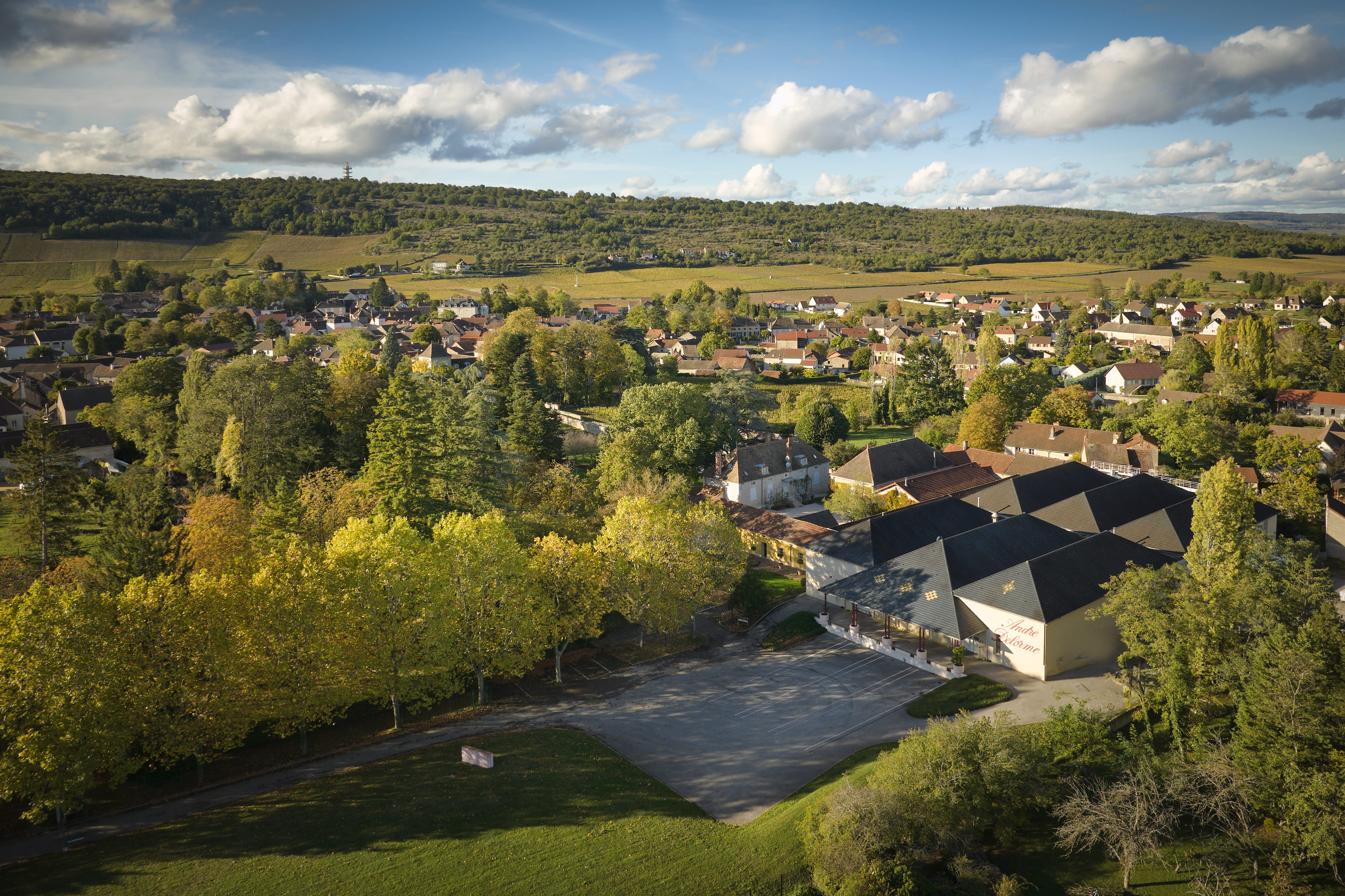 Maison André Delorme mise sur trois cuvées millésimées pour dynamiser les fêtes de fin d’année