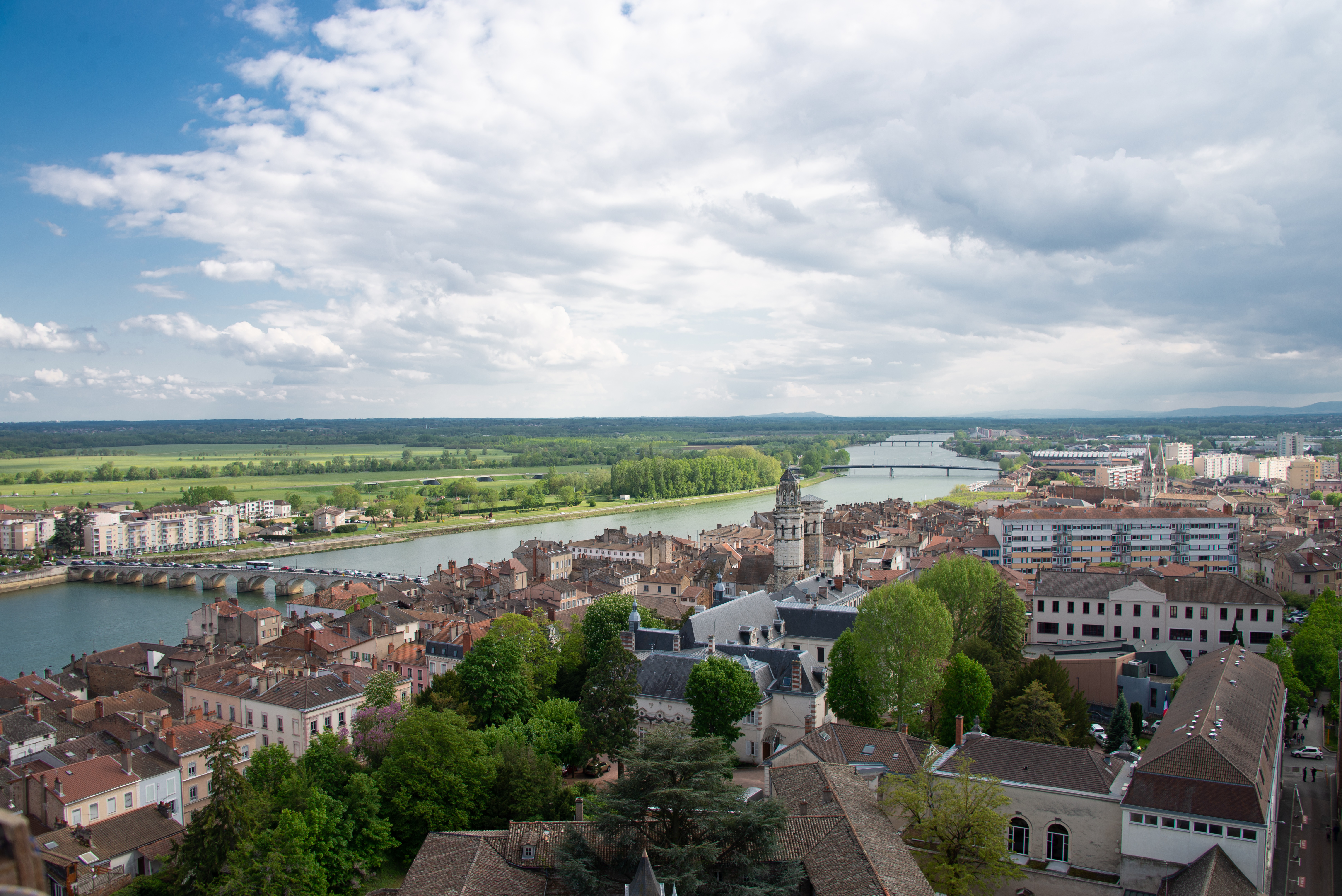 Entretien du patrimoine arboré : Mâcon lance une intervention à grande échelle
