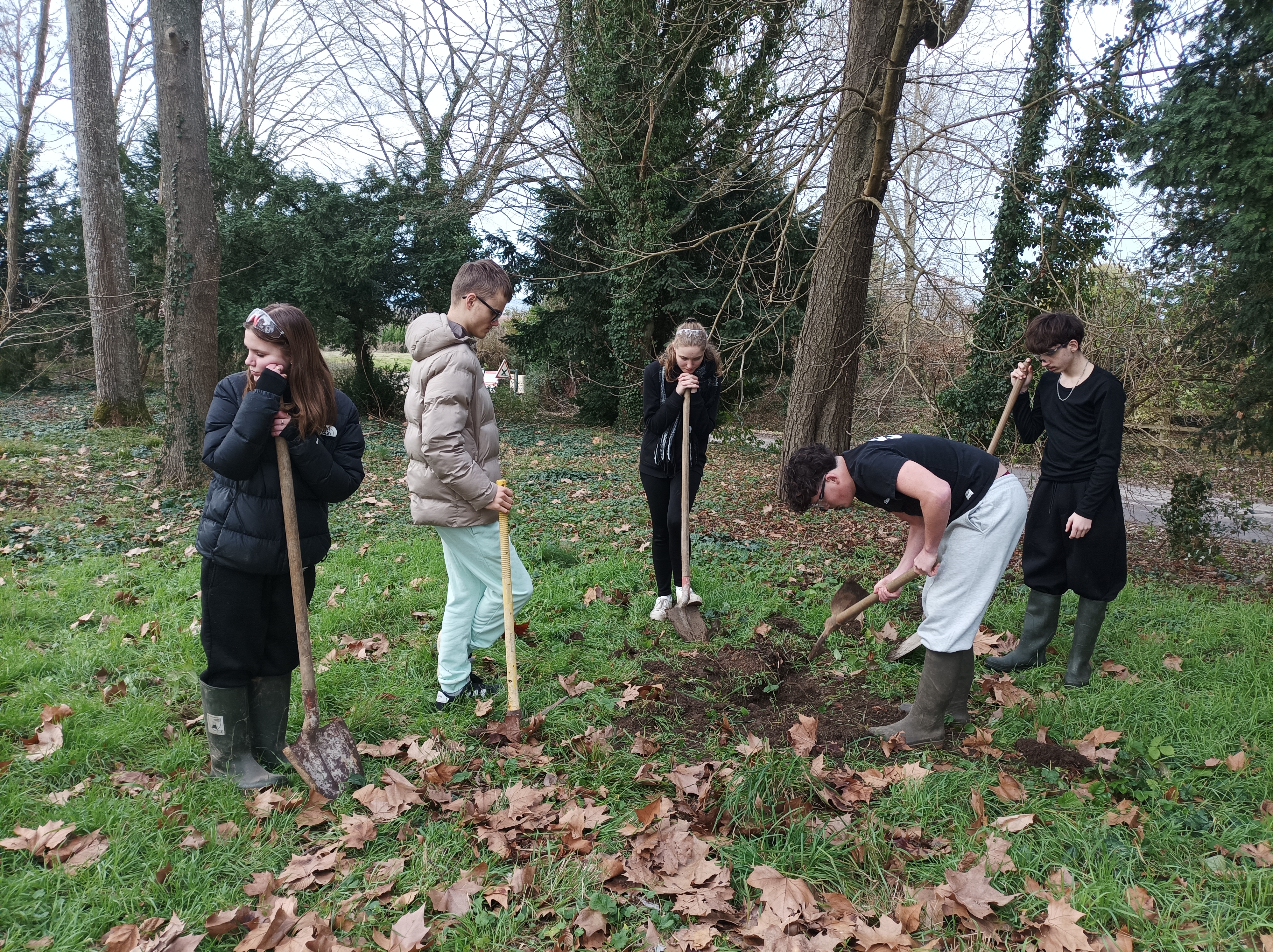 Des jeunes au secours des cyclamens à Ruffey-lès-Beaune