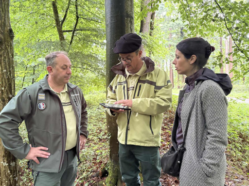 Saint-Gobain, une forêt résiliente face au changement climatique