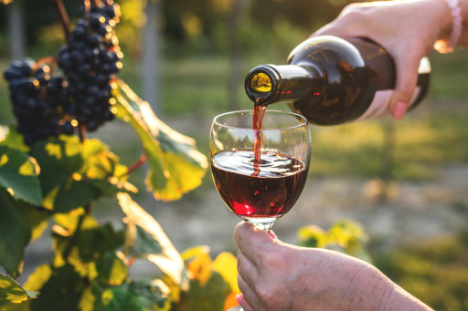 Dijon : le Salon des Vignerons Indépendants de Bourgogne et du Jura est de retour pour une nouvelle édition