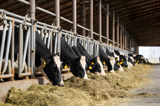 Le salon Agrimax revient pour une nouvelle édition