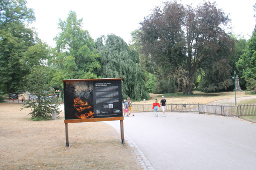 Nancy engage une vaste rénovation de son parc de la Pépinière