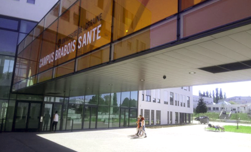 L’Université de Lorraine adopte son schéma directeur RSE
