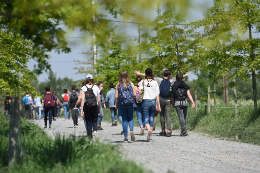 L'Automne prépontois revient pour une nouvelle édition